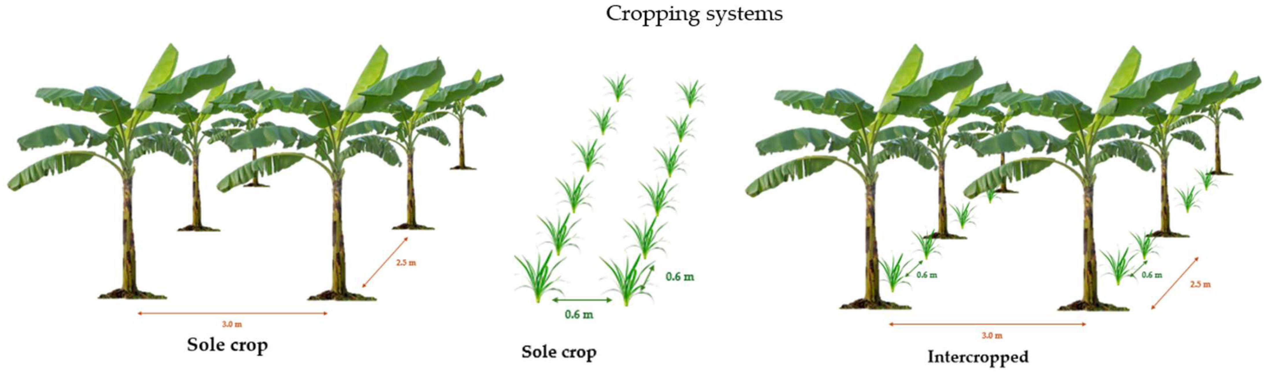 Agriculture 15 00758 g002