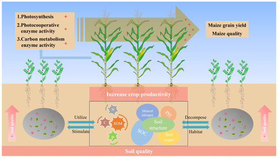 Research Progress on the Improvement of Farmland Soil