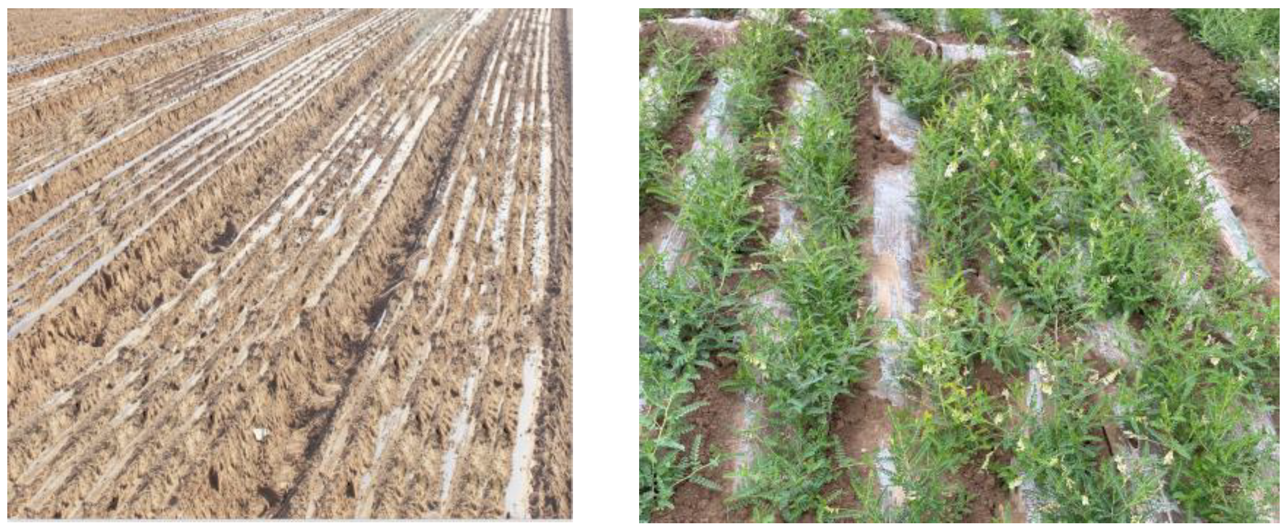 Agriculture 15 00769 g013