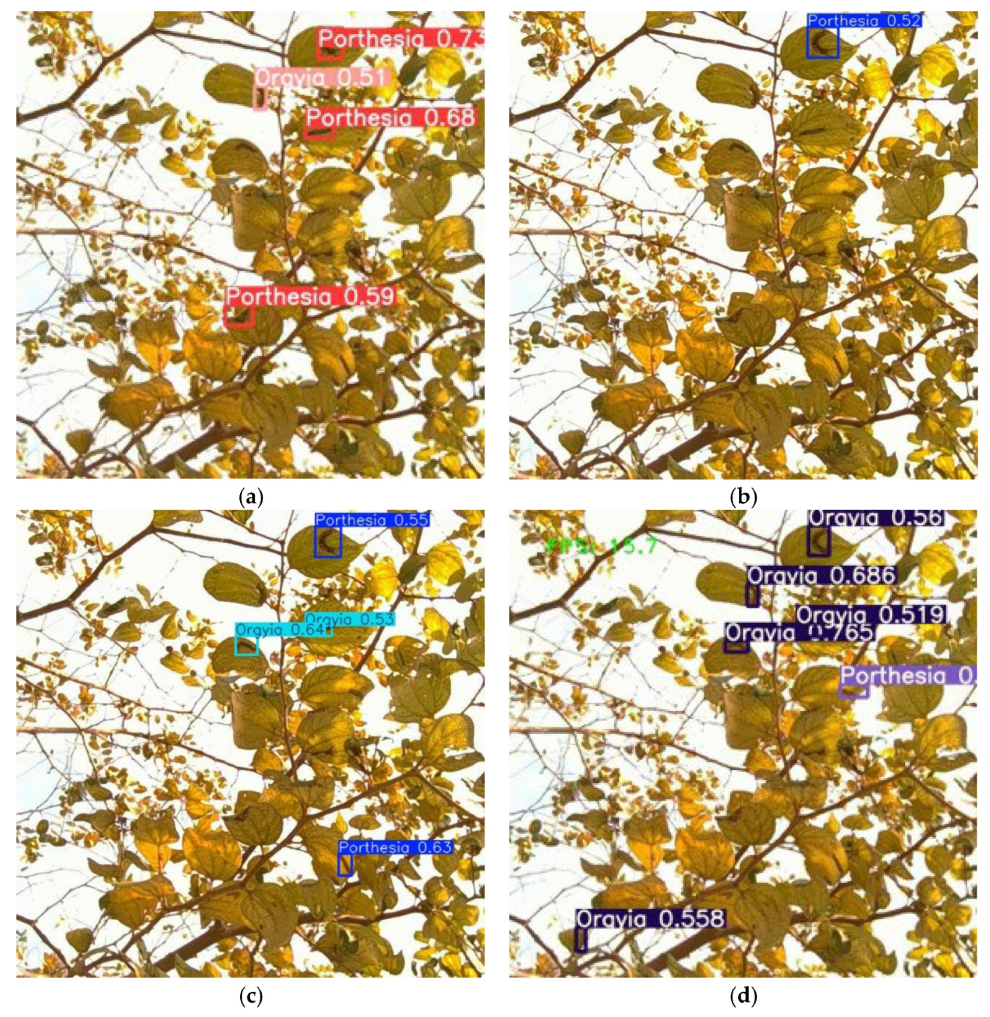 Agriculture 15 00771 g005