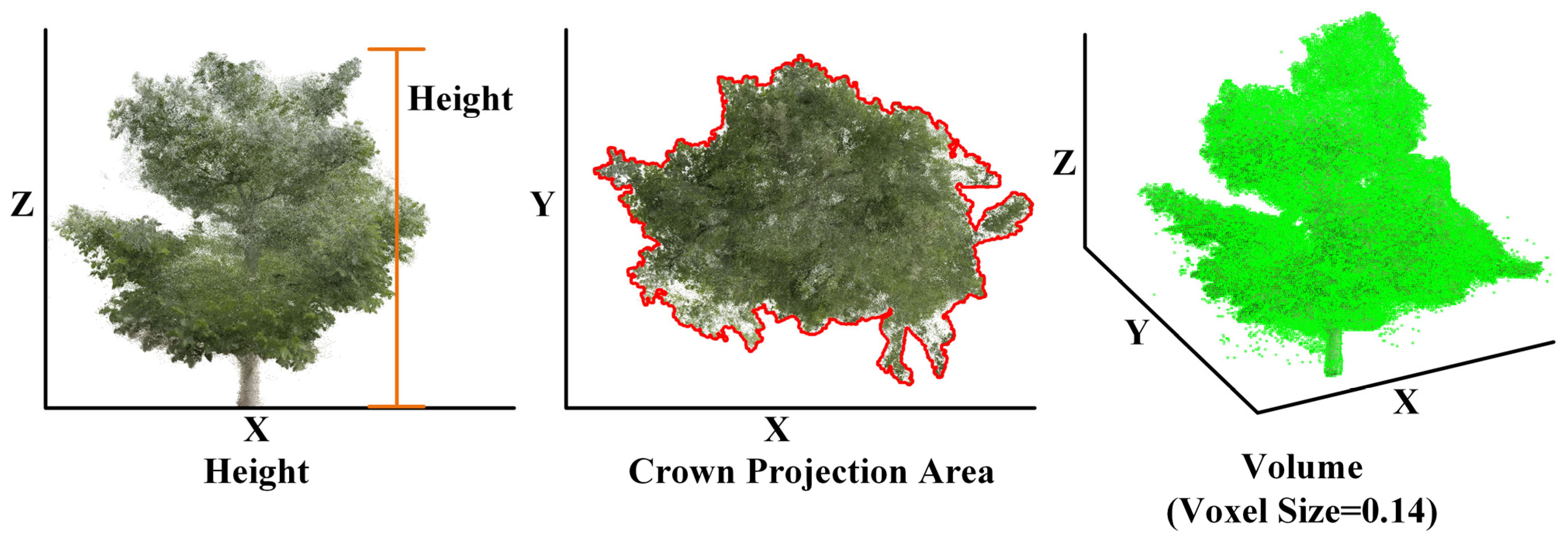 Agriculture 15 00775 g004 Agriculture 15 00775 g004