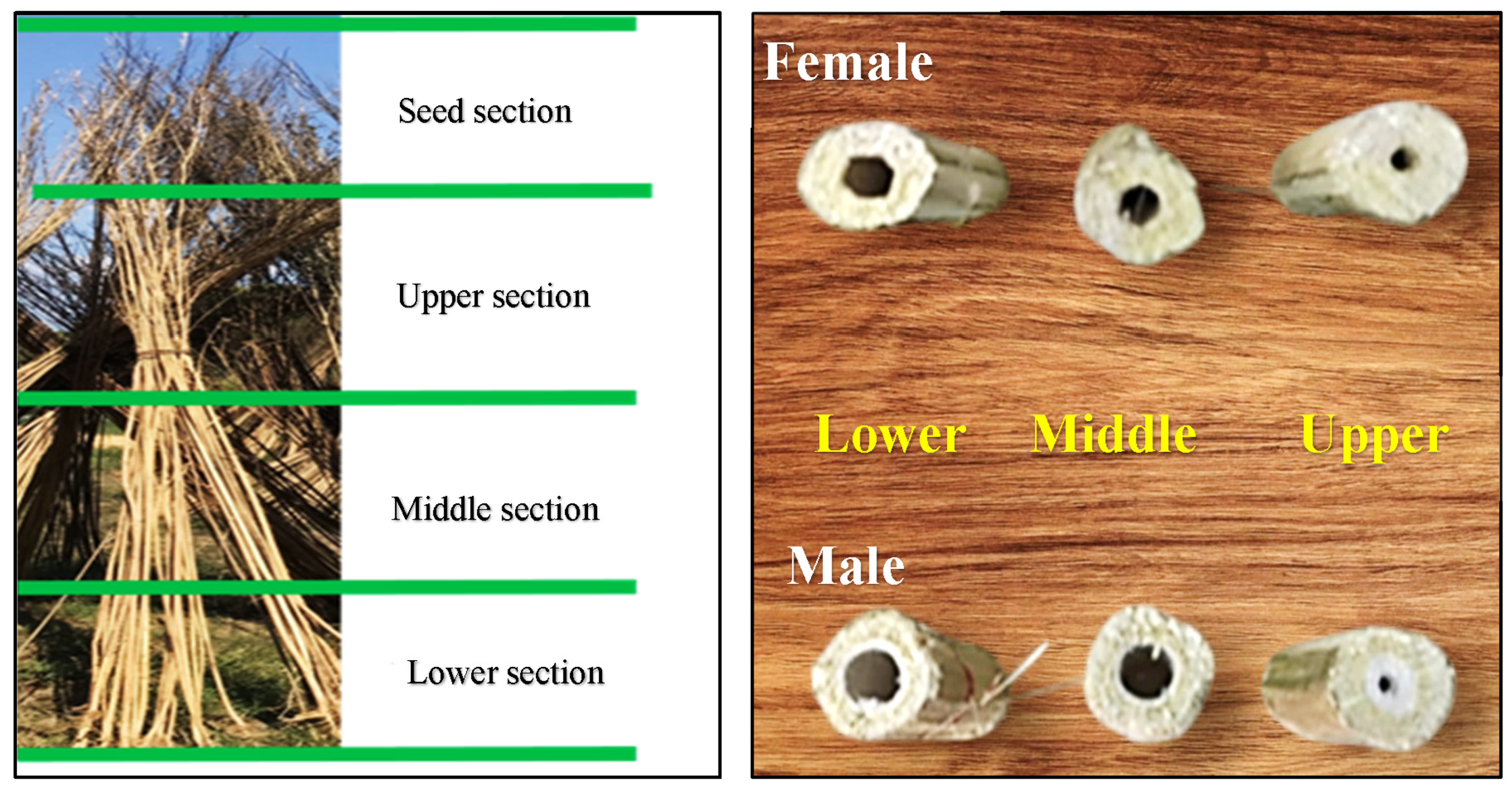 Agriculture 15 00776 g001