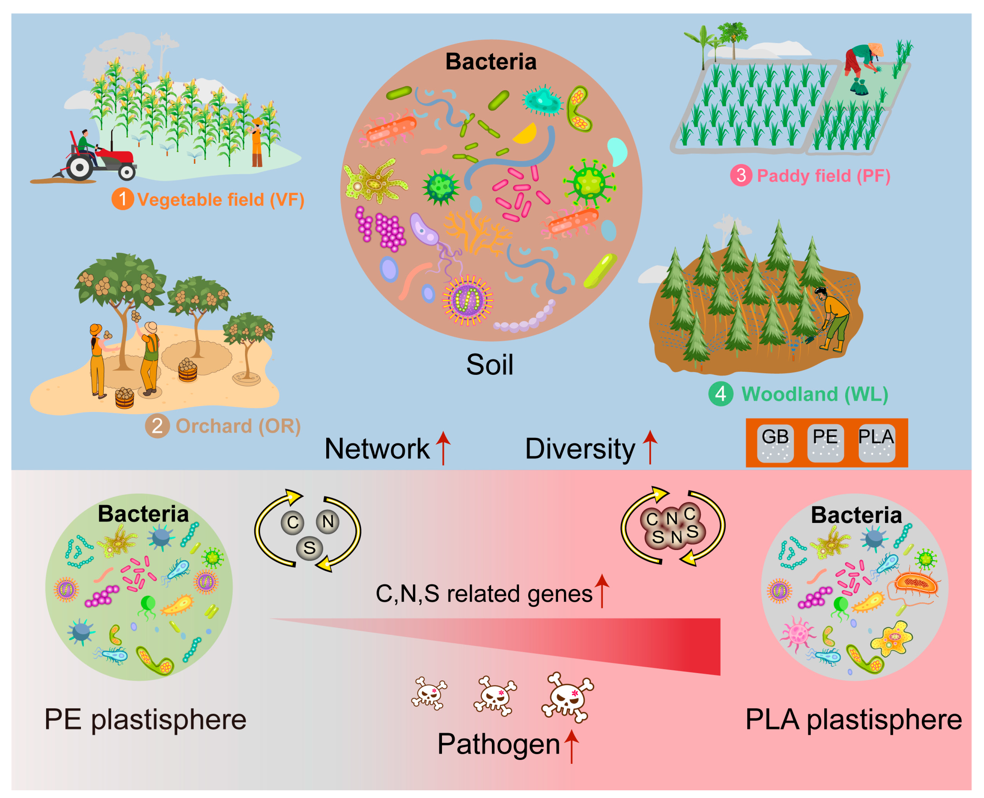 Agriculture 15 00778 g009