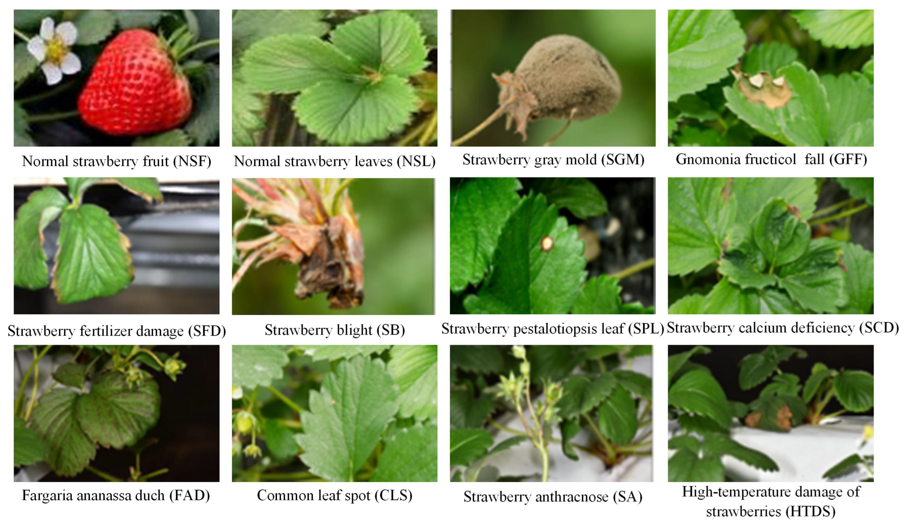 Agriculture 15 00779 g001