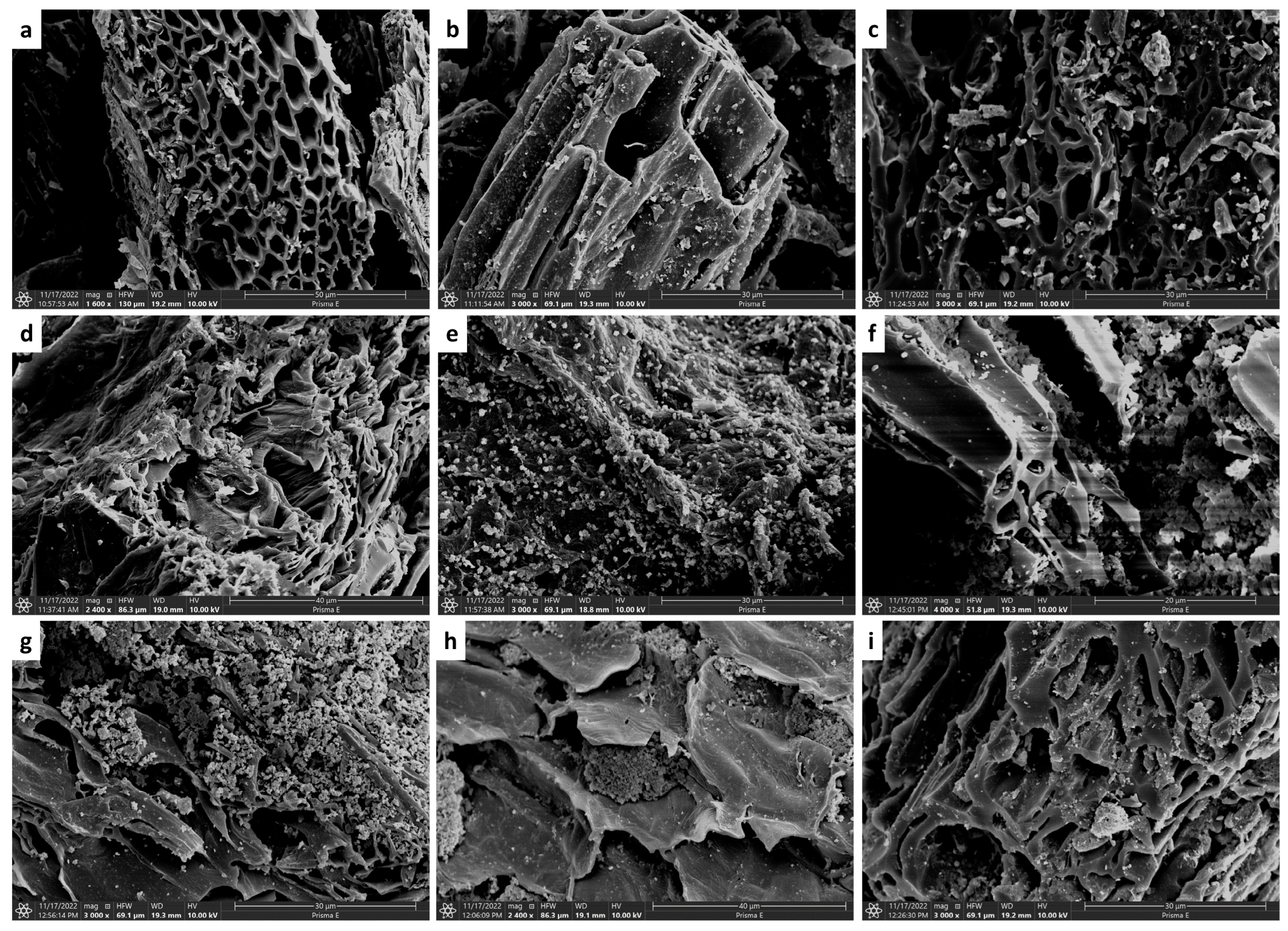 Agriculture 15 00785 g001