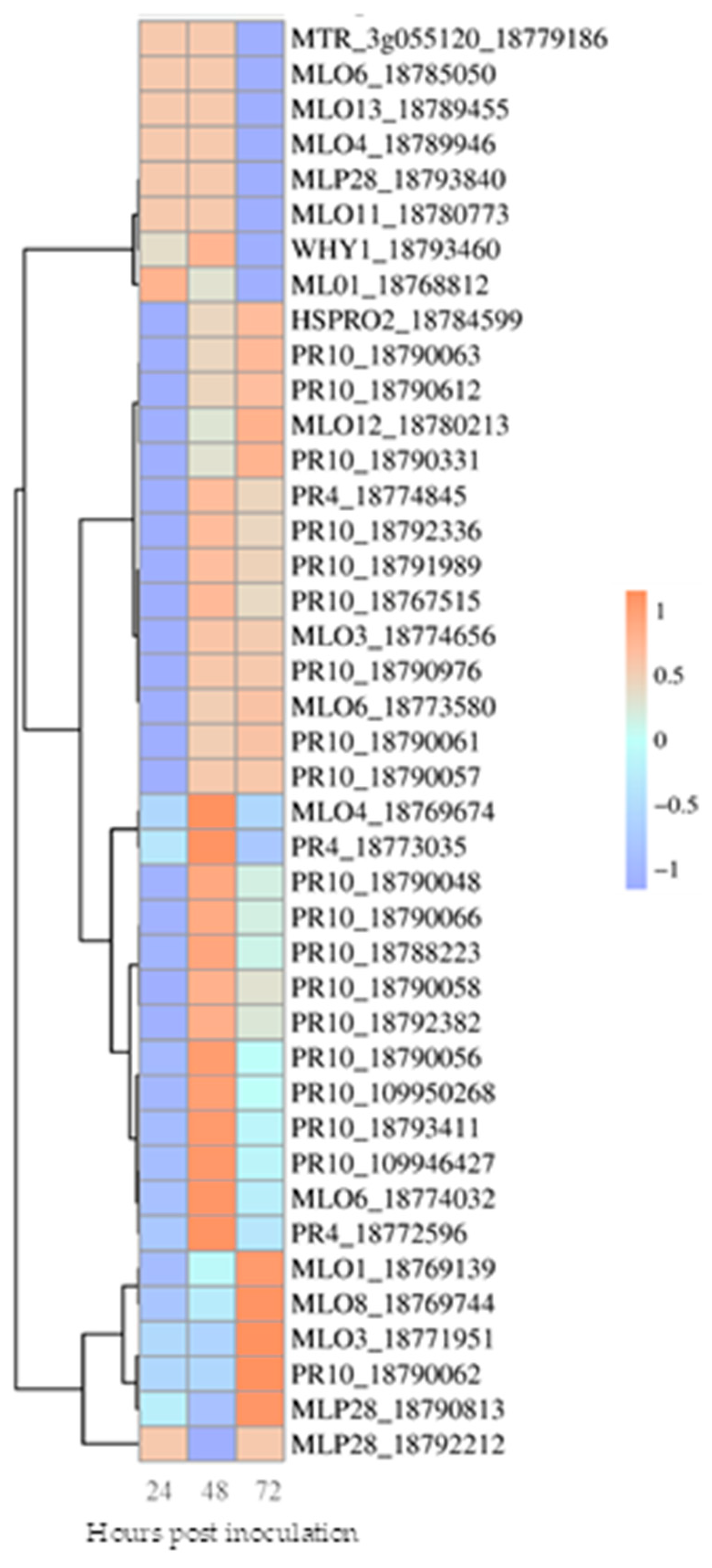 Agriculture 15 00788 g005
