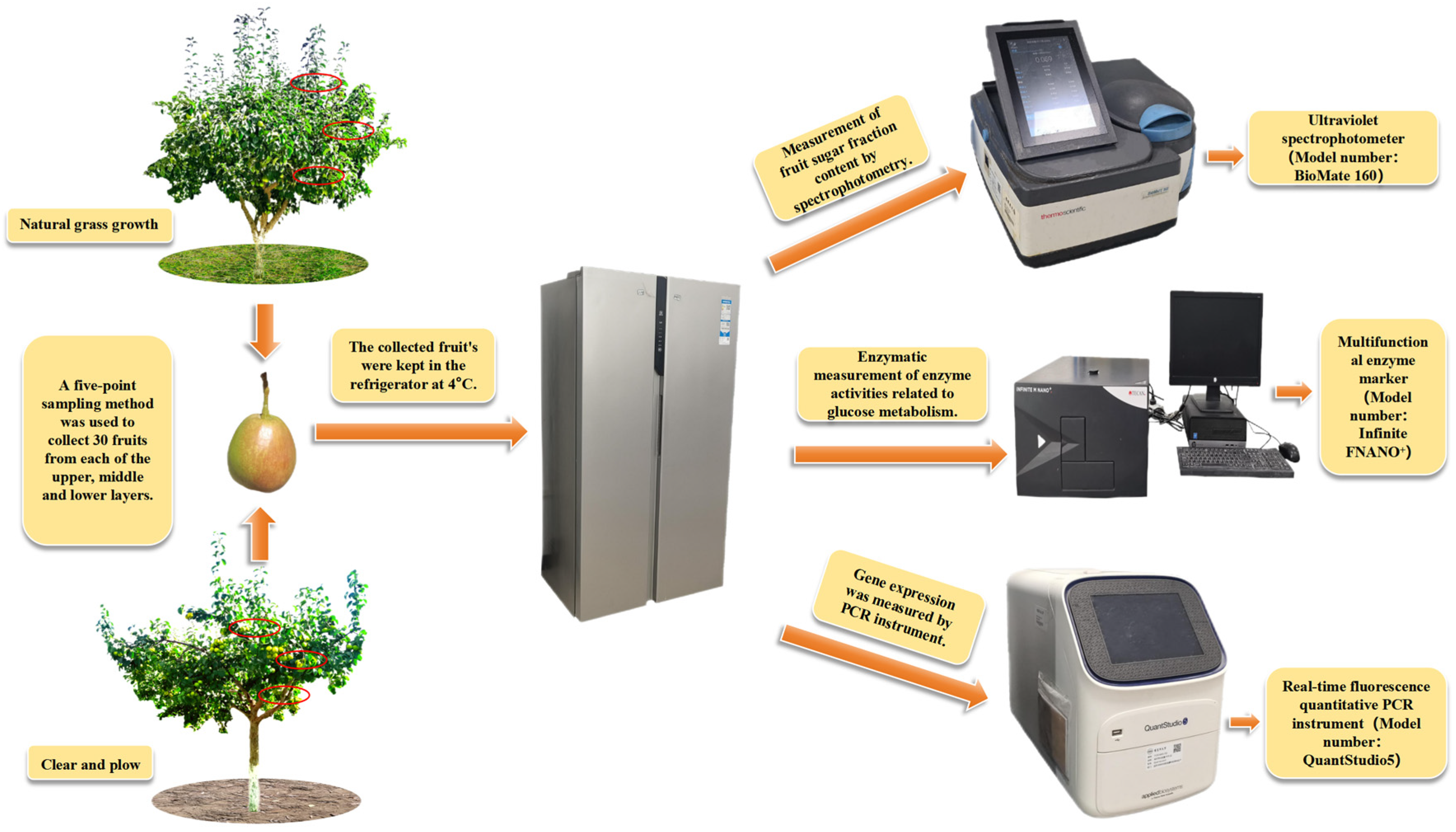 Agriculture 15 00792 g001