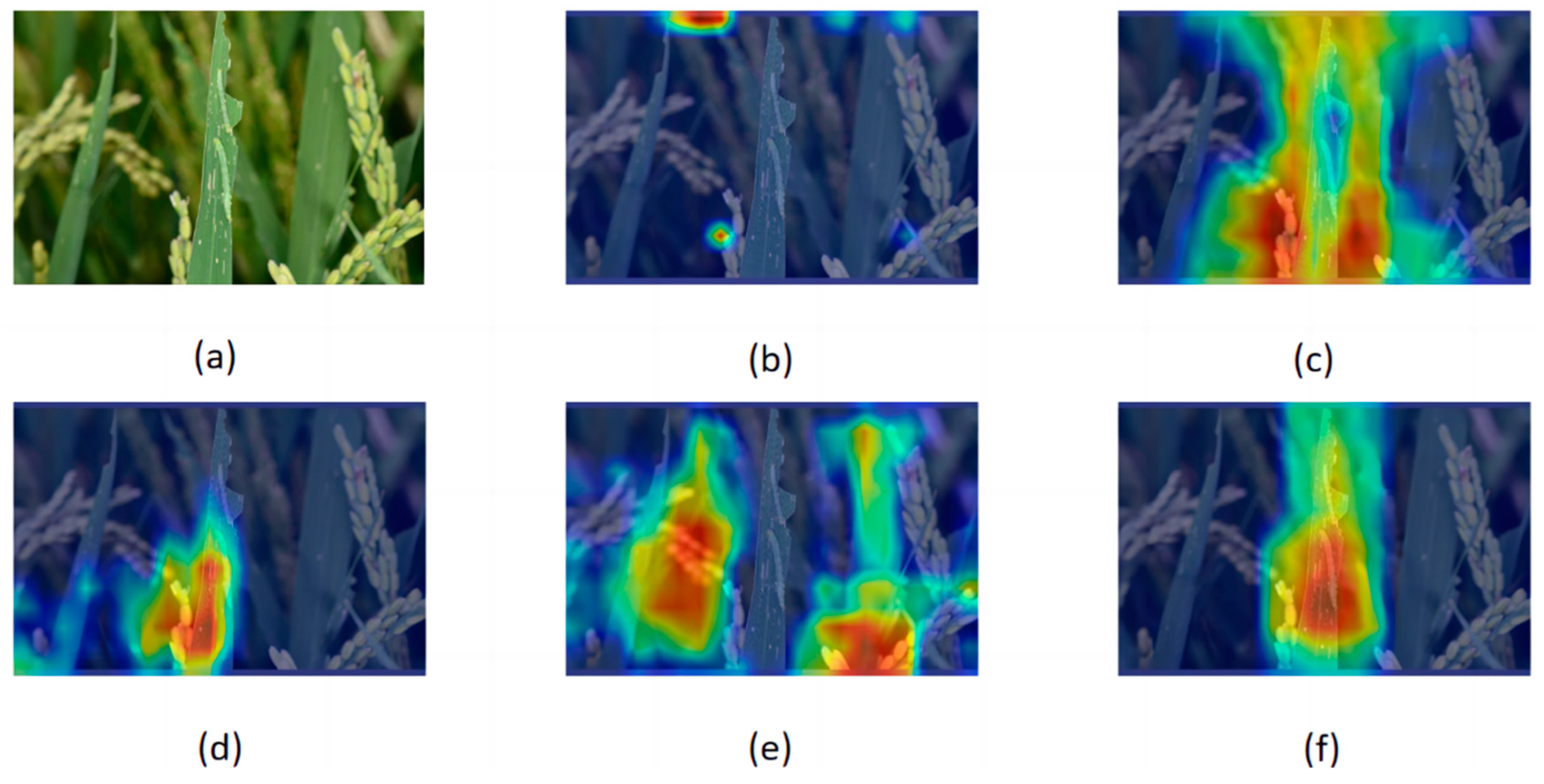 Agriculture 15 00798 g009