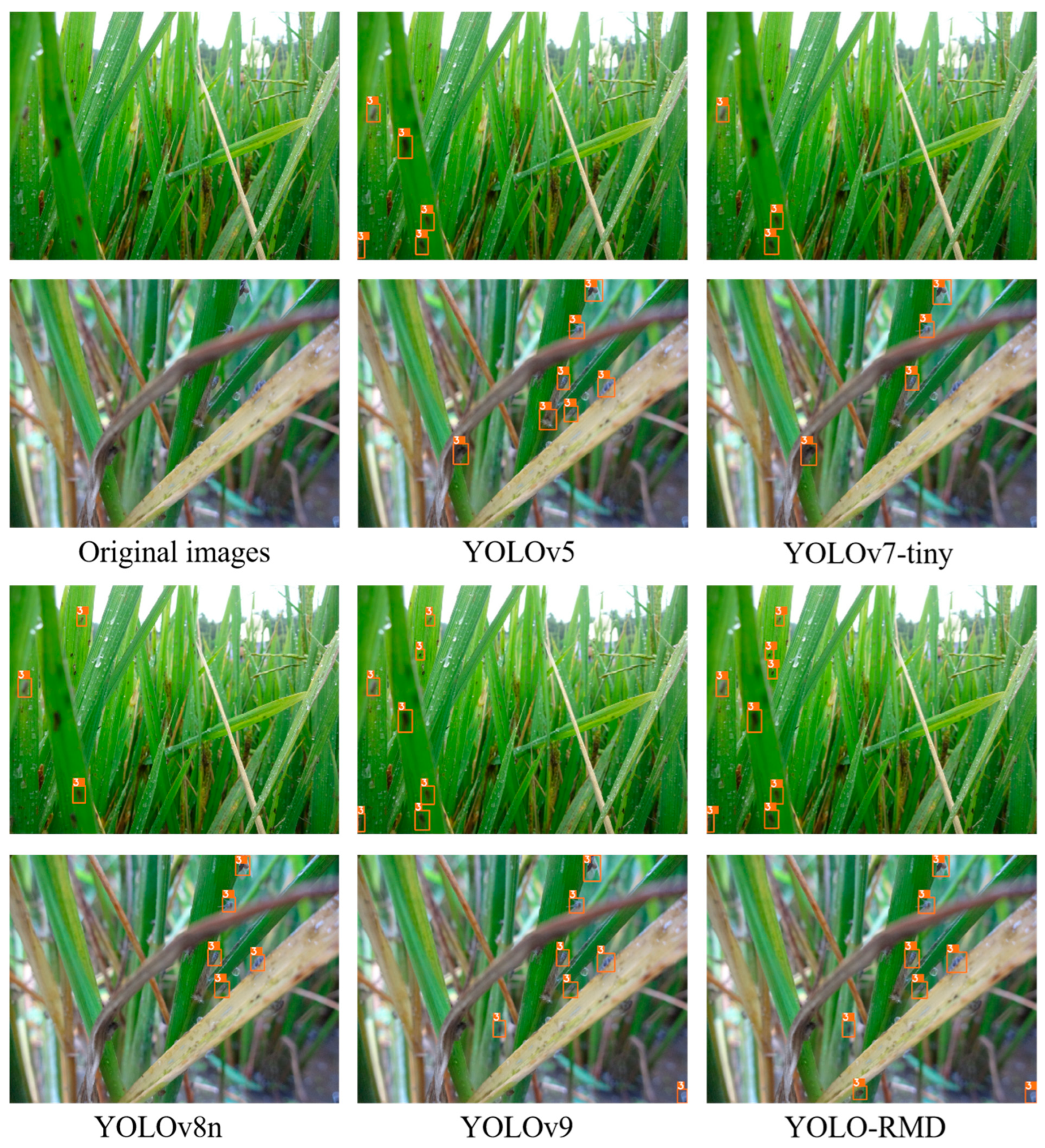 Agriculture 15 00798 g010