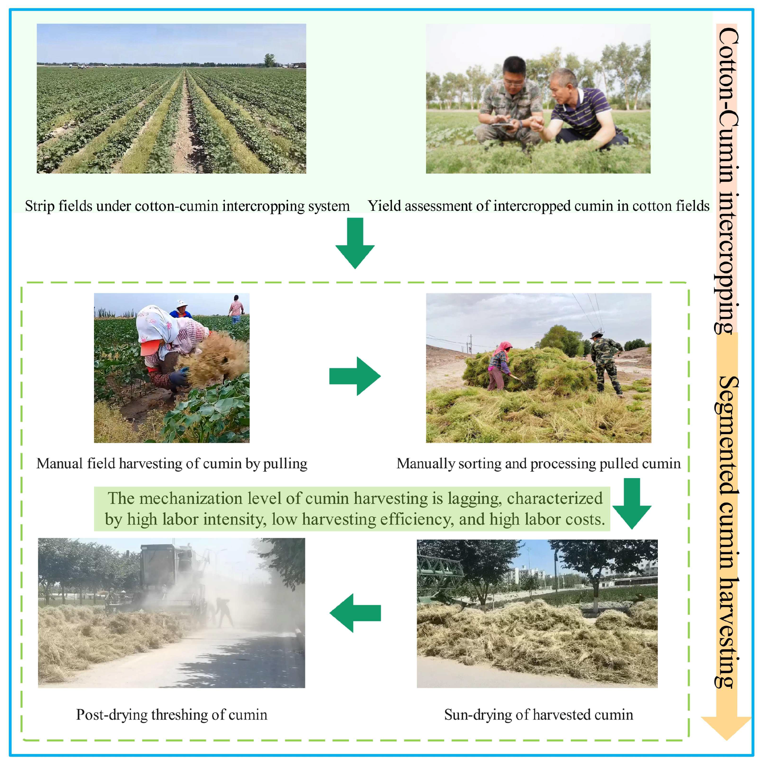 Agriculture 15 00809 g001