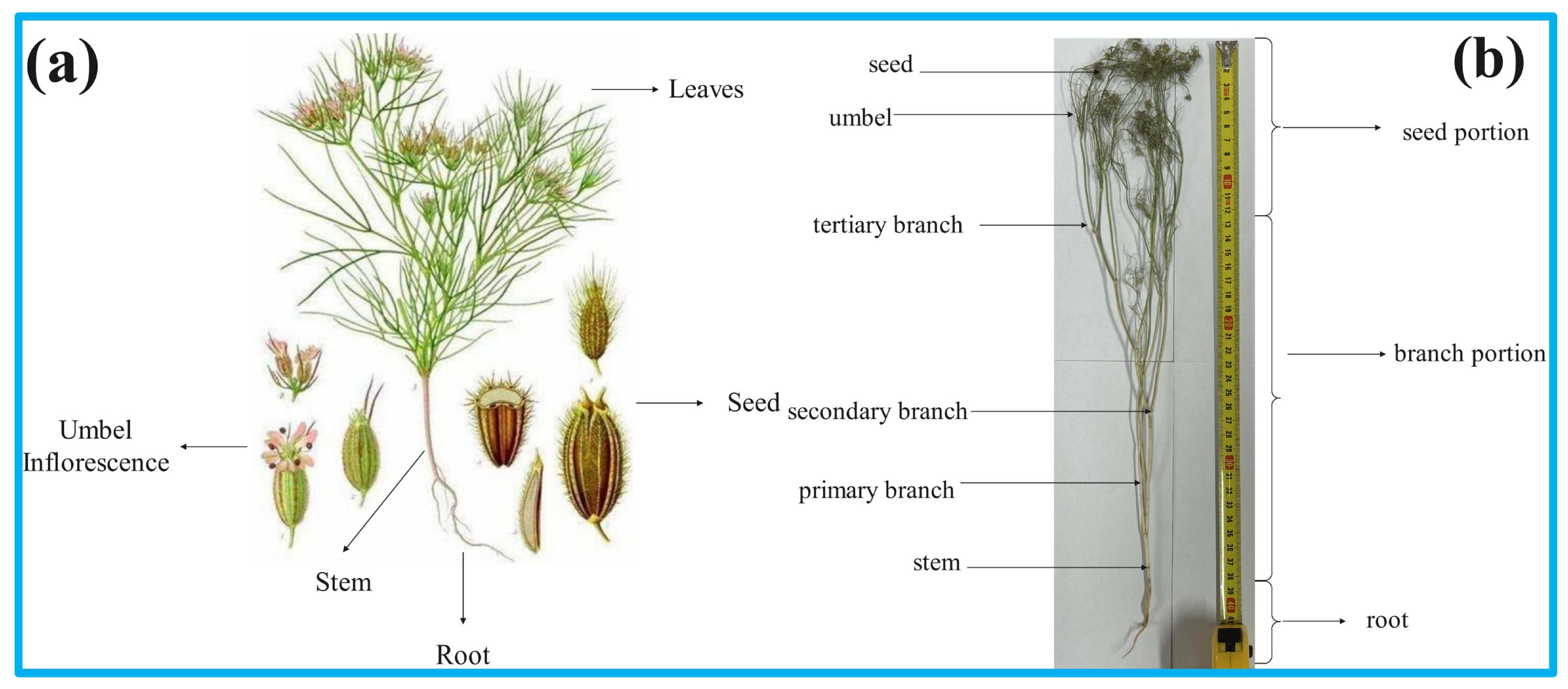 Agriculture 15 00809 g002