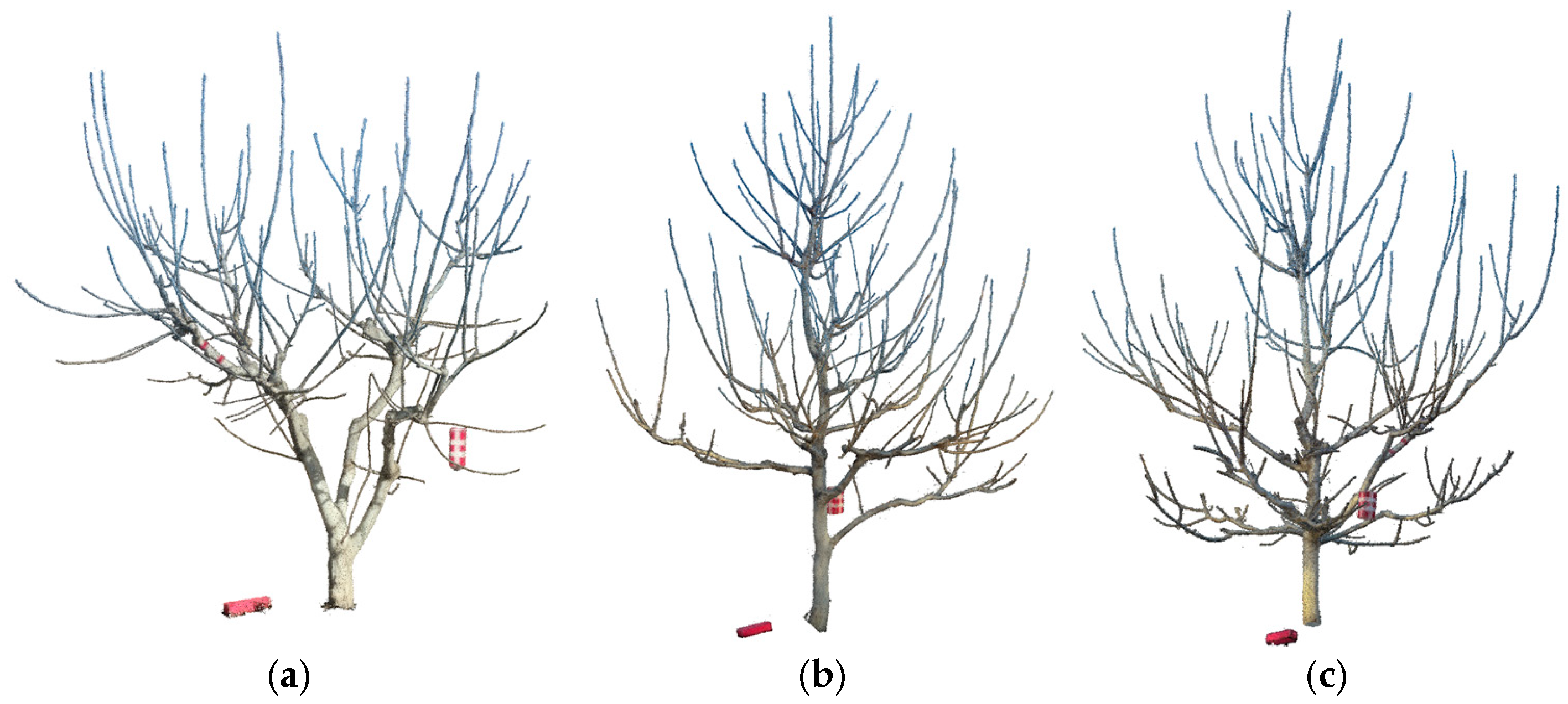 Agriculture 15 00817 g001