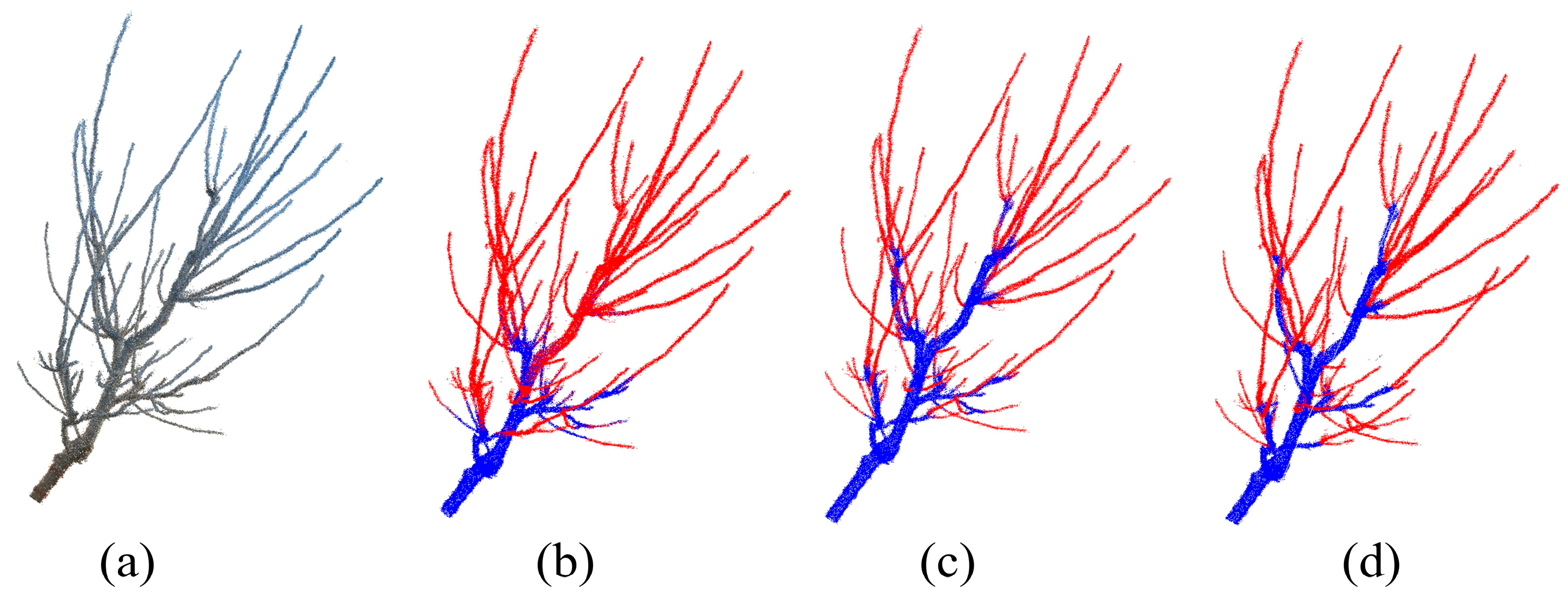 Agriculture 15 00817 g007