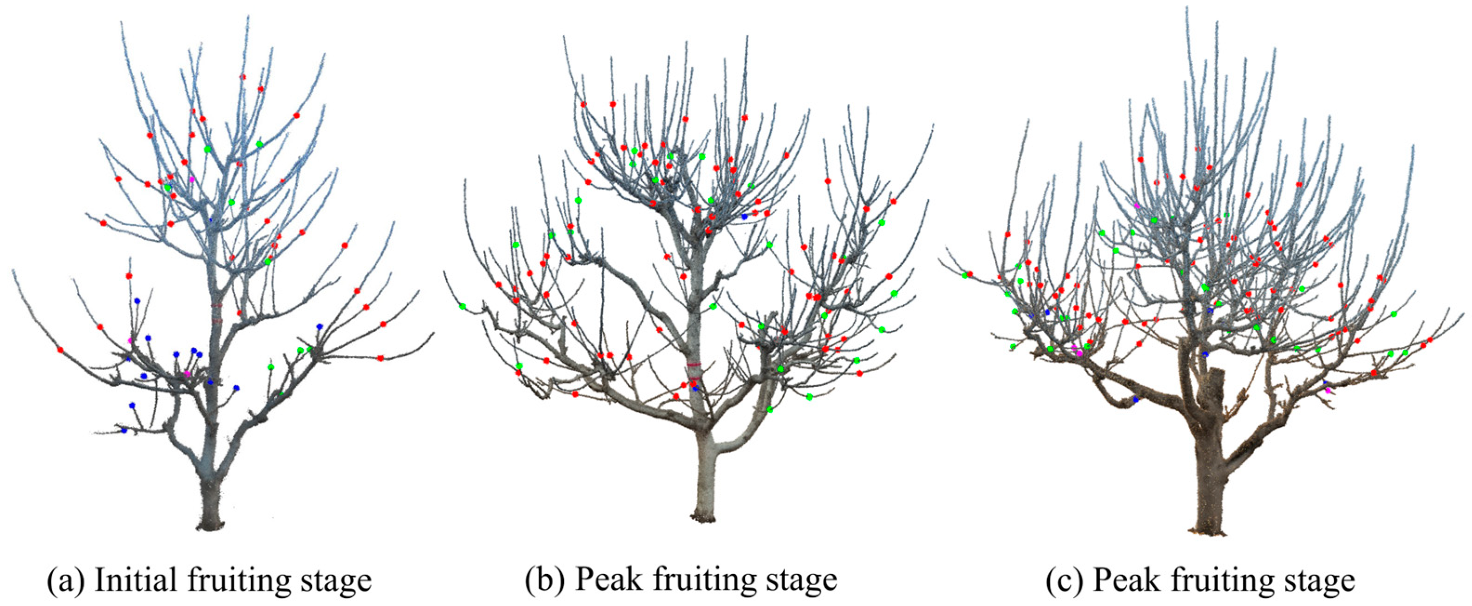 Agriculture 15 00817 g012