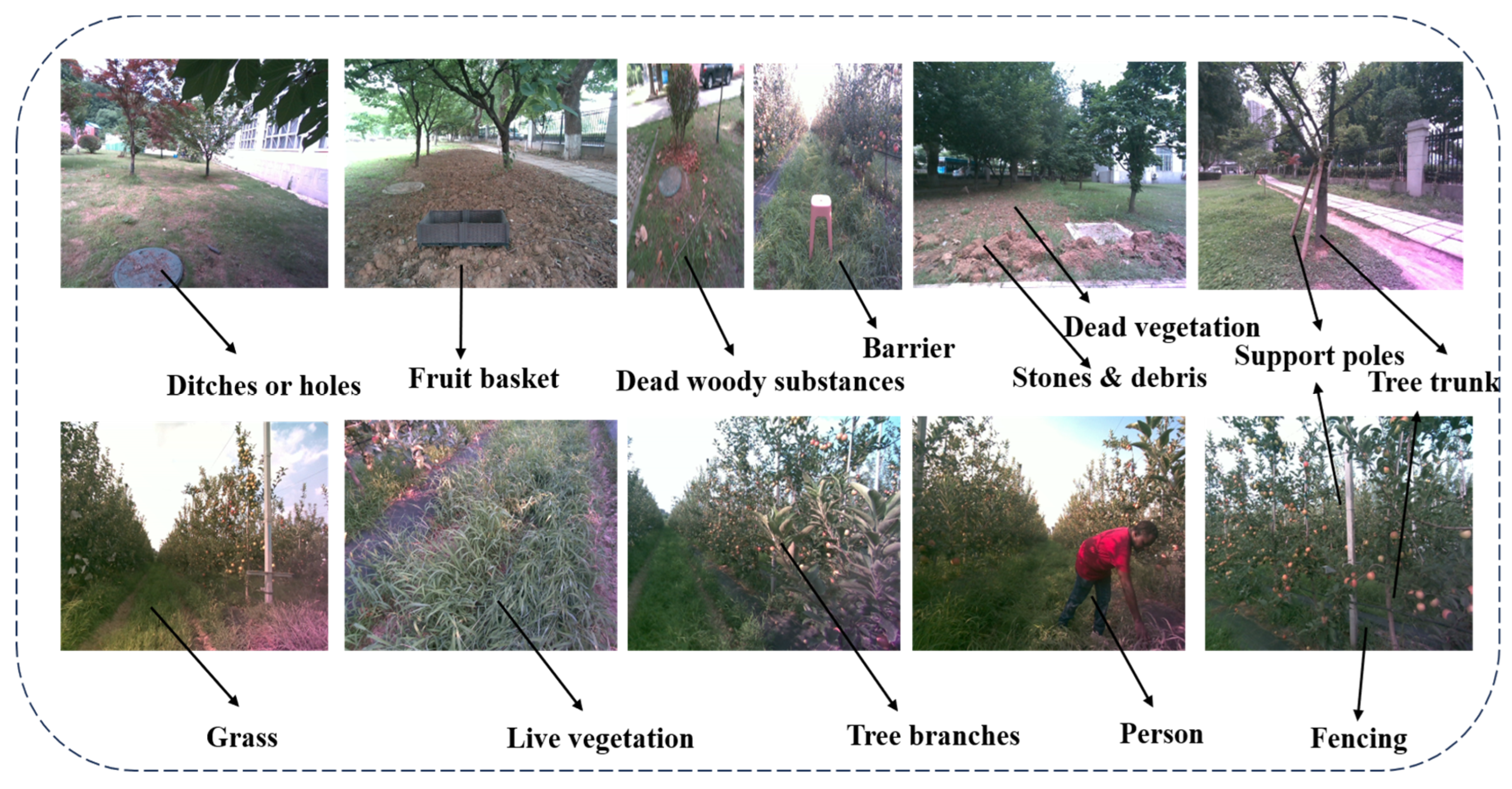 Agriculture 15 00827 g002