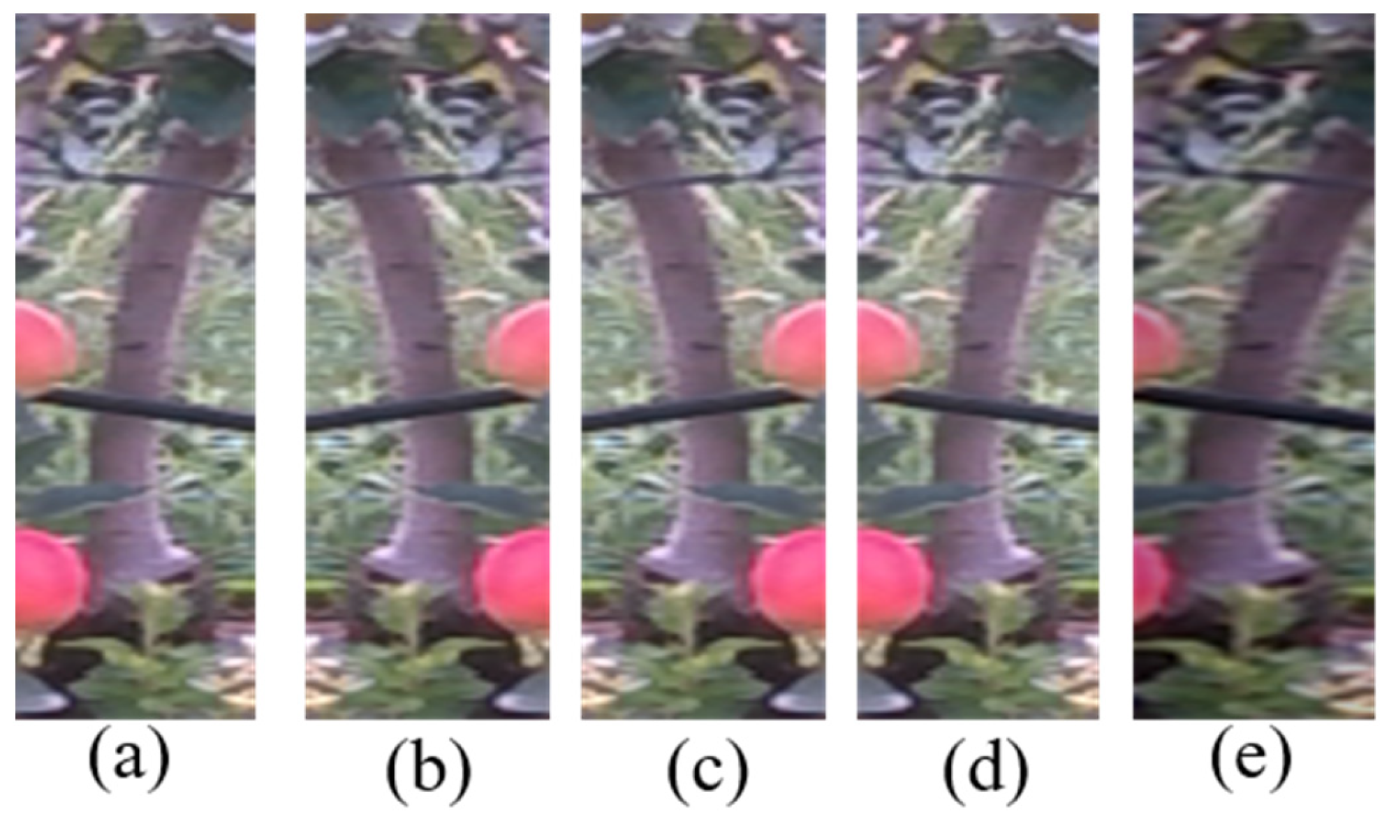 Agriculture 15 00827 g004