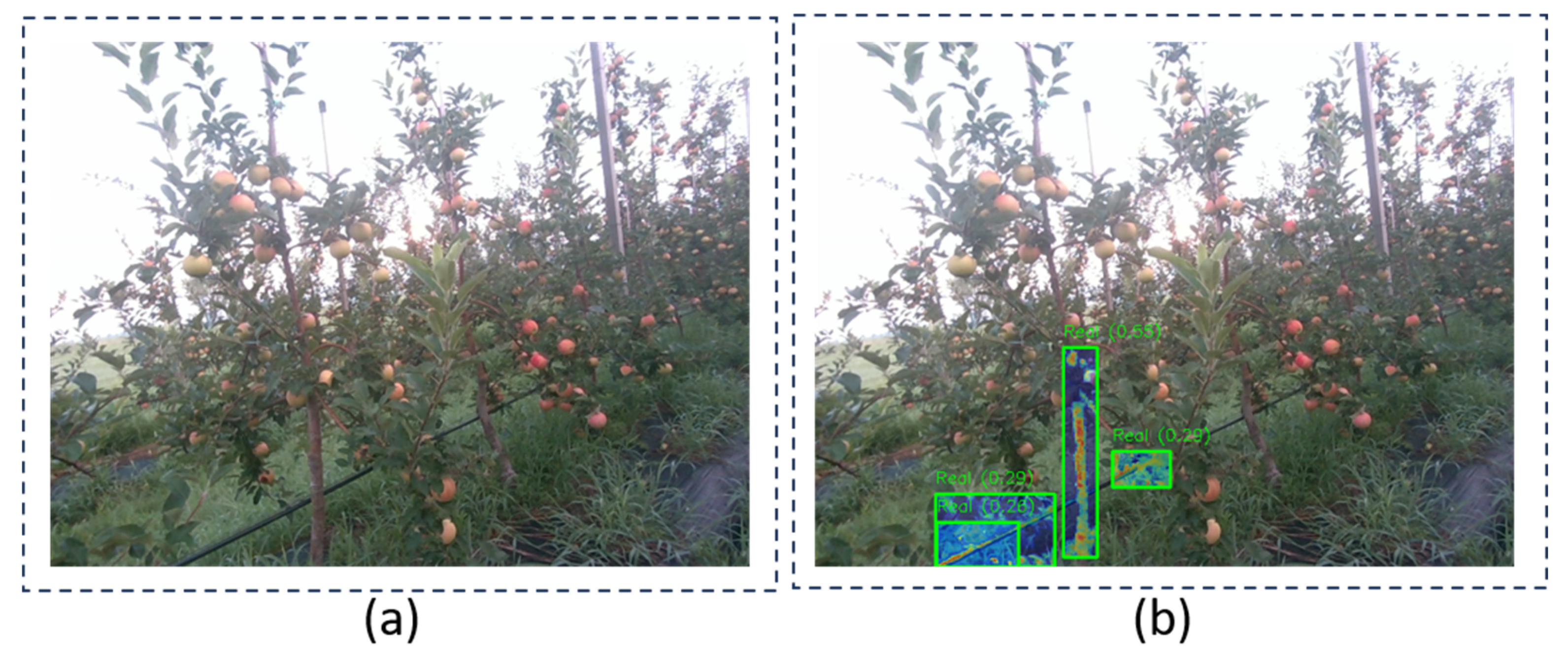 Agriculture 15 00827 g020