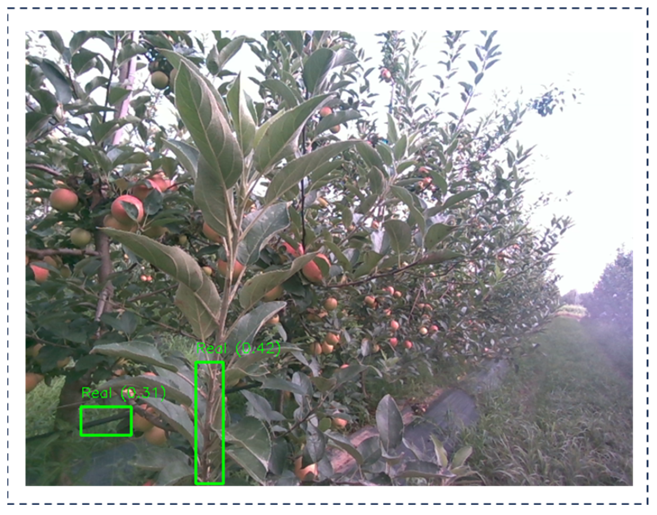 Agriculture 15 00827 g021