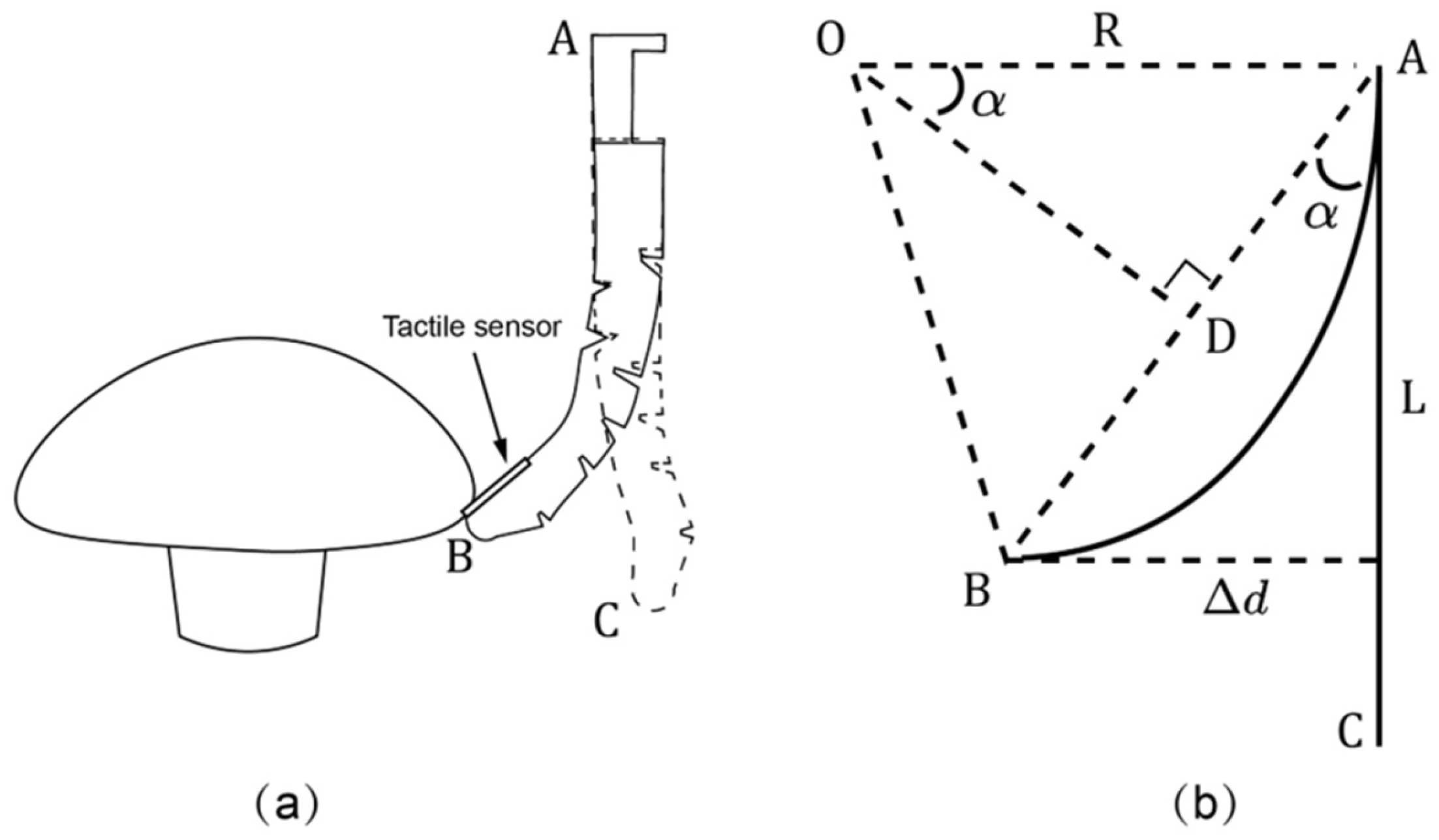 Agriculture 15 00832 g005