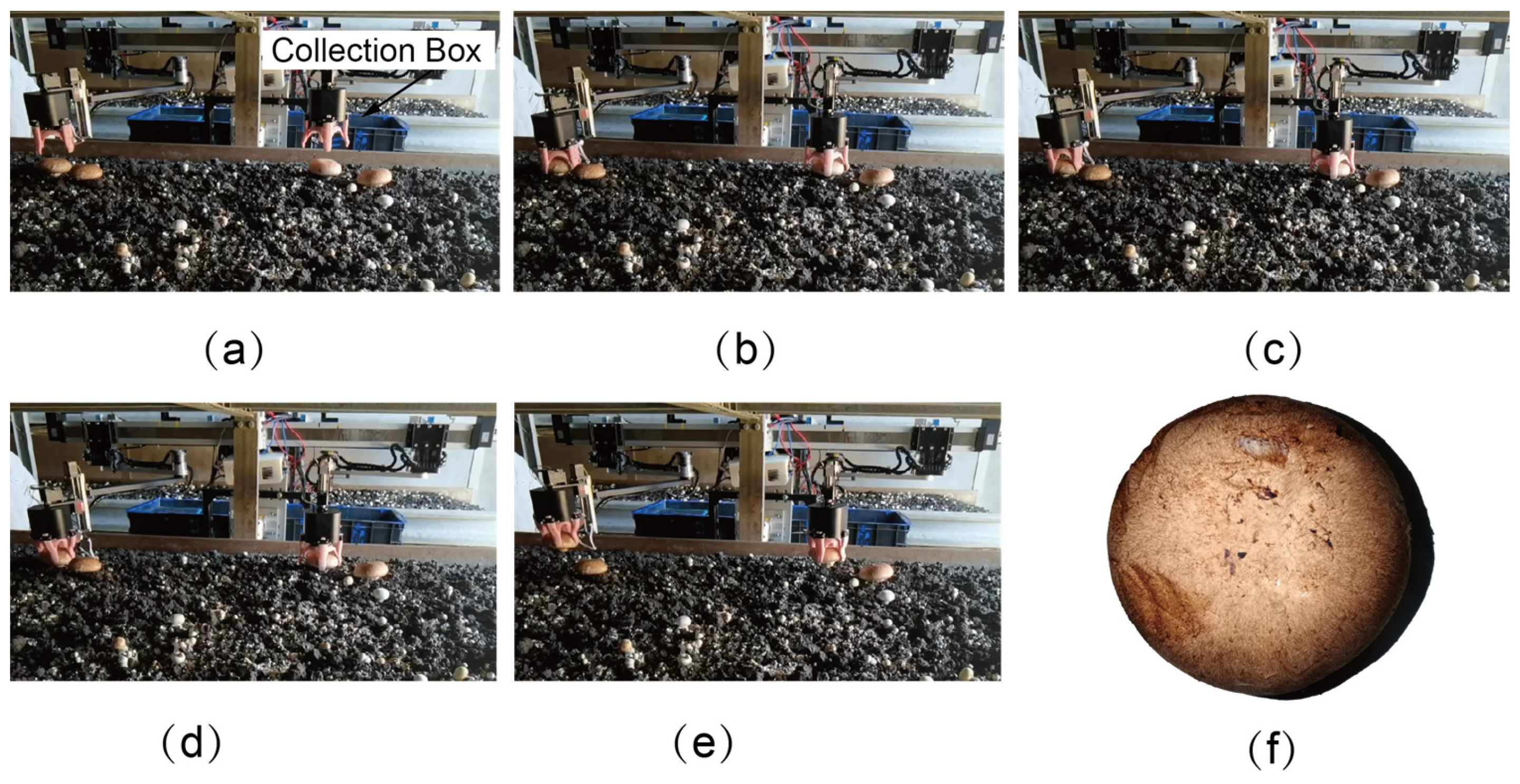 Agriculture 15 00832 g009