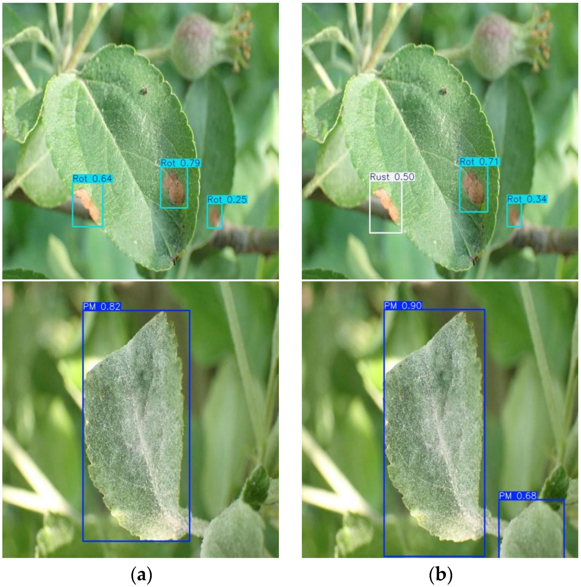 Agriculture 15 00833 g008b