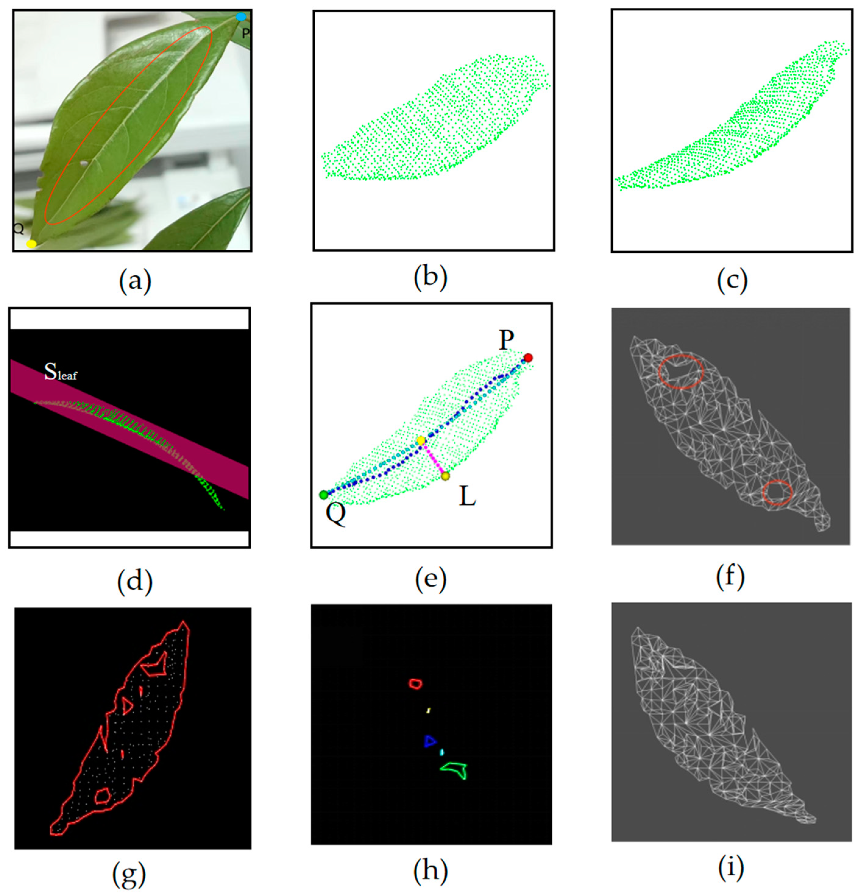 Agriculture 15 00834 g006