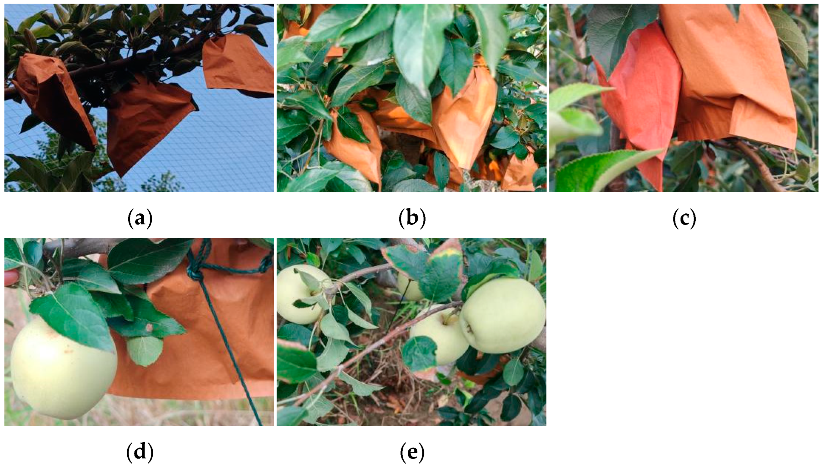 Agriculture 15 00836 g001