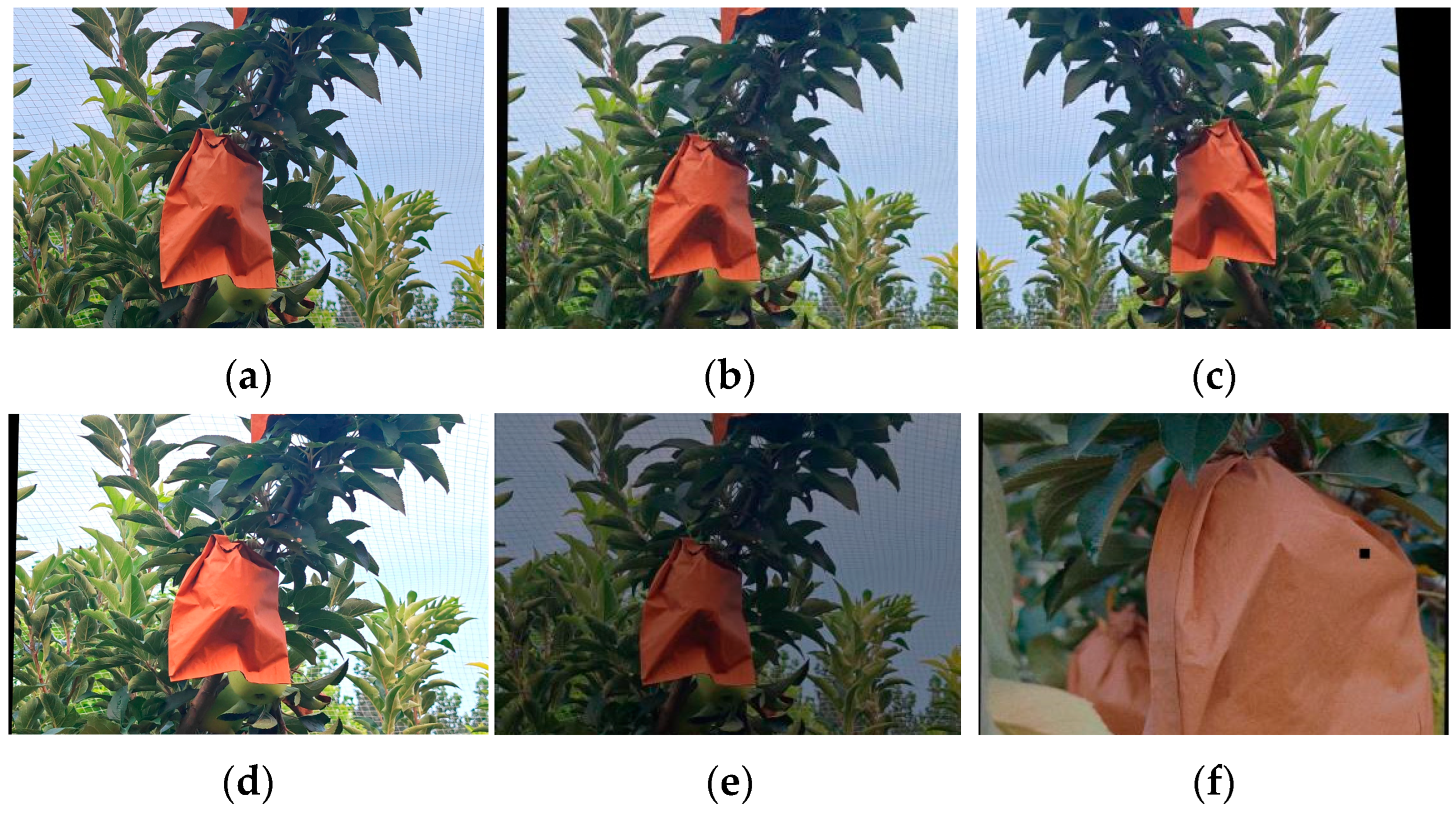 Agriculture 15 00836 g002