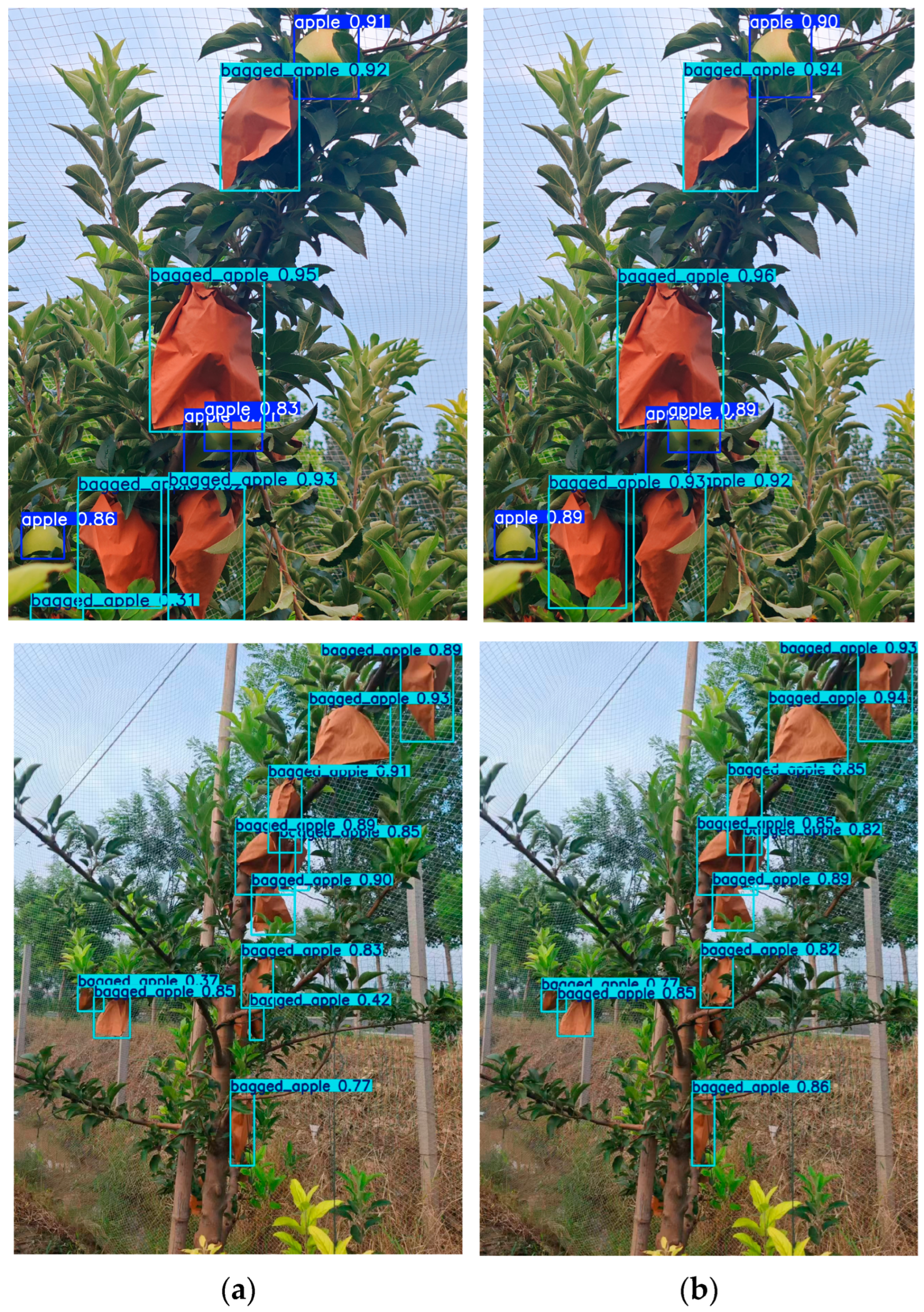 Agriculture 15 00836 g013