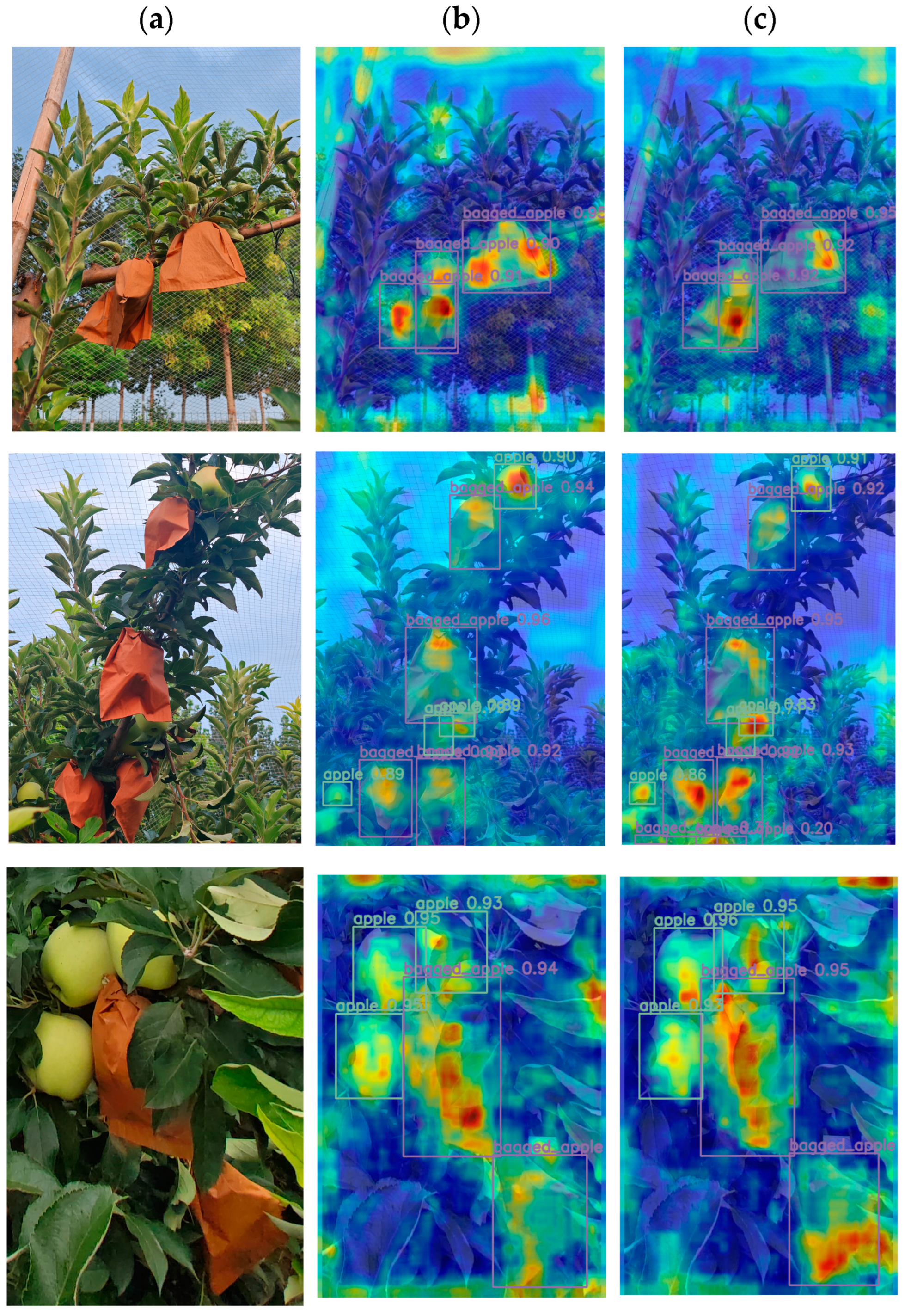 Agriculture 15 00836 g015