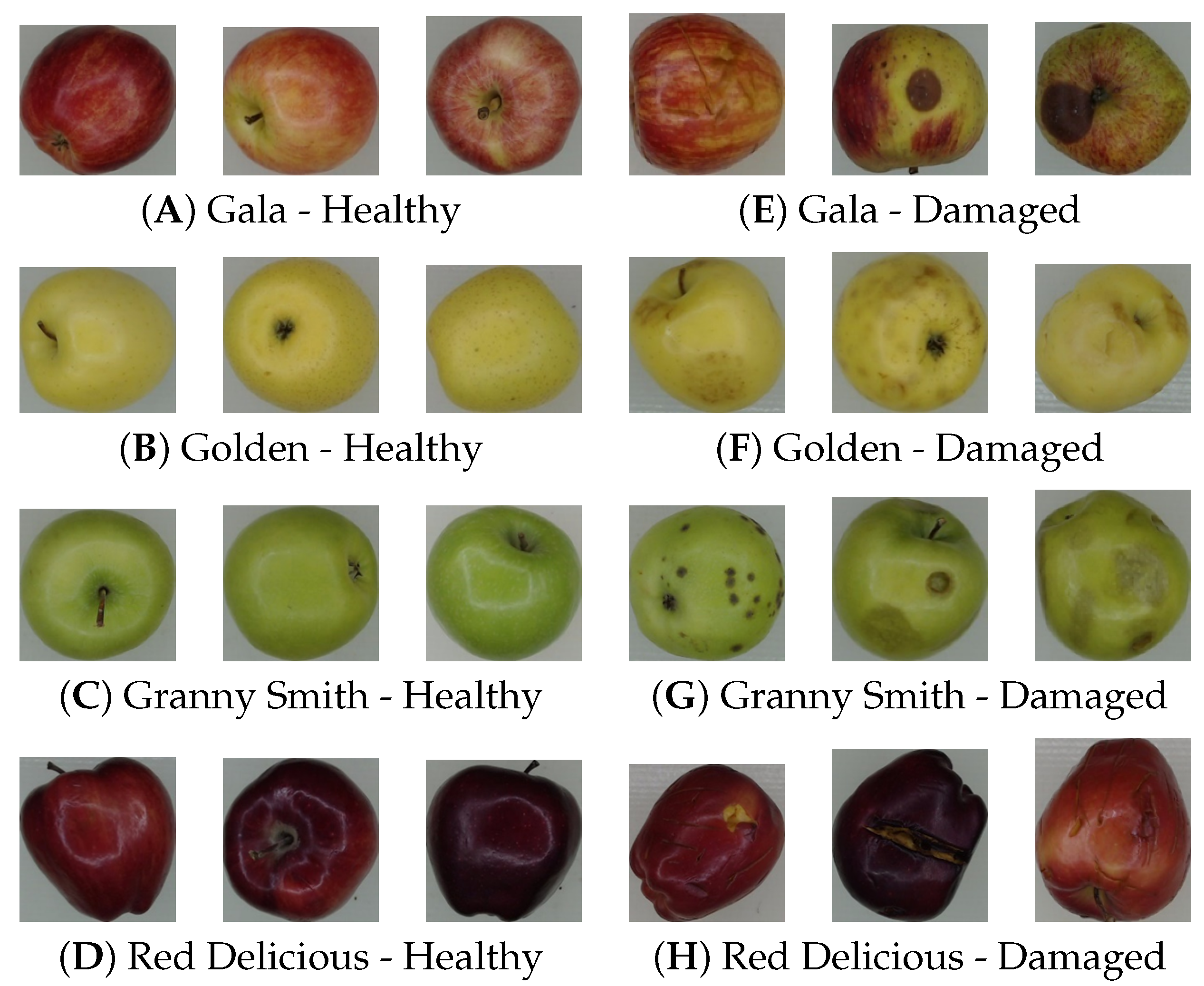 Agriculture 15 00838 g002
