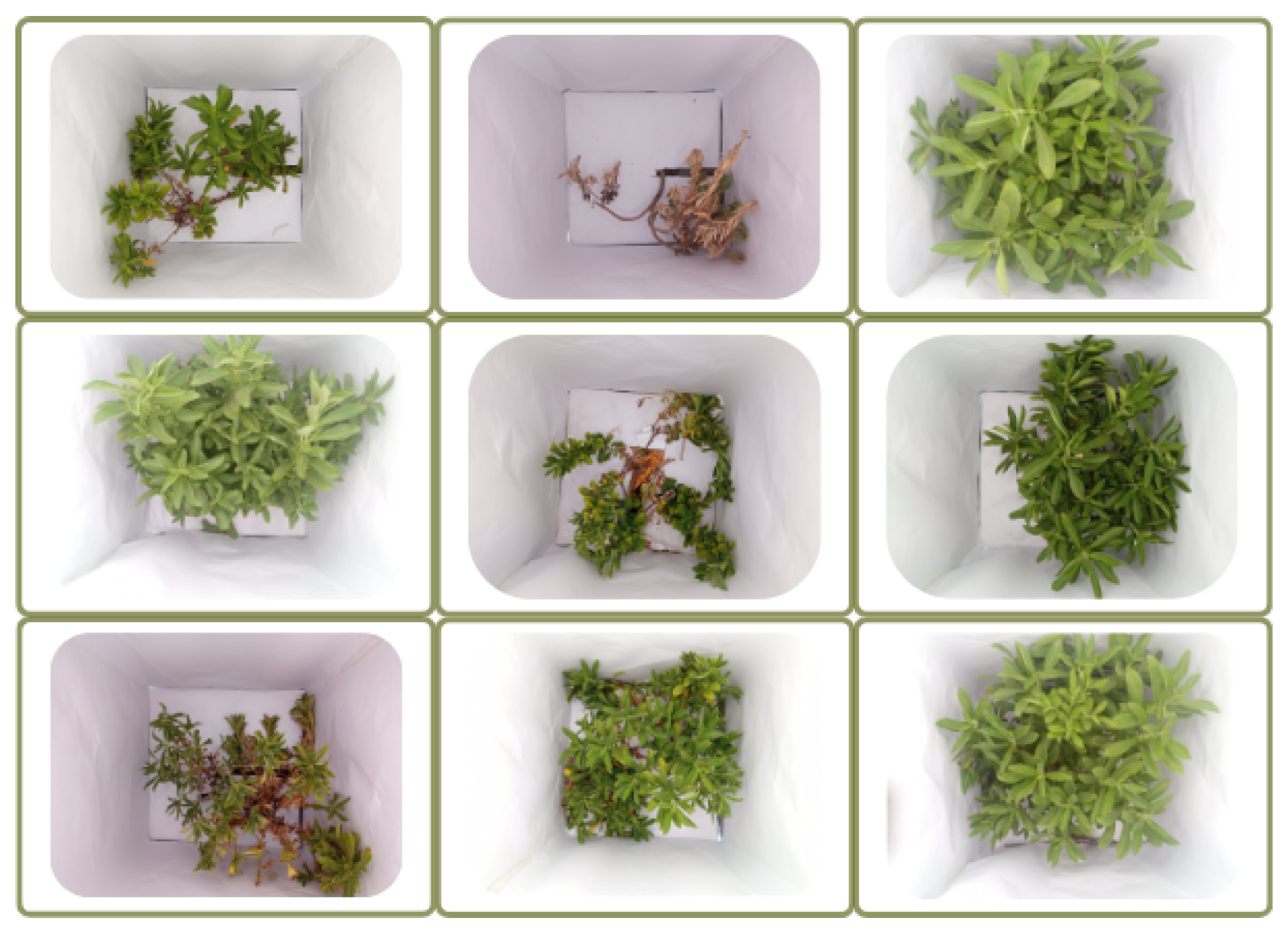 Agriculture 15 00840 g003