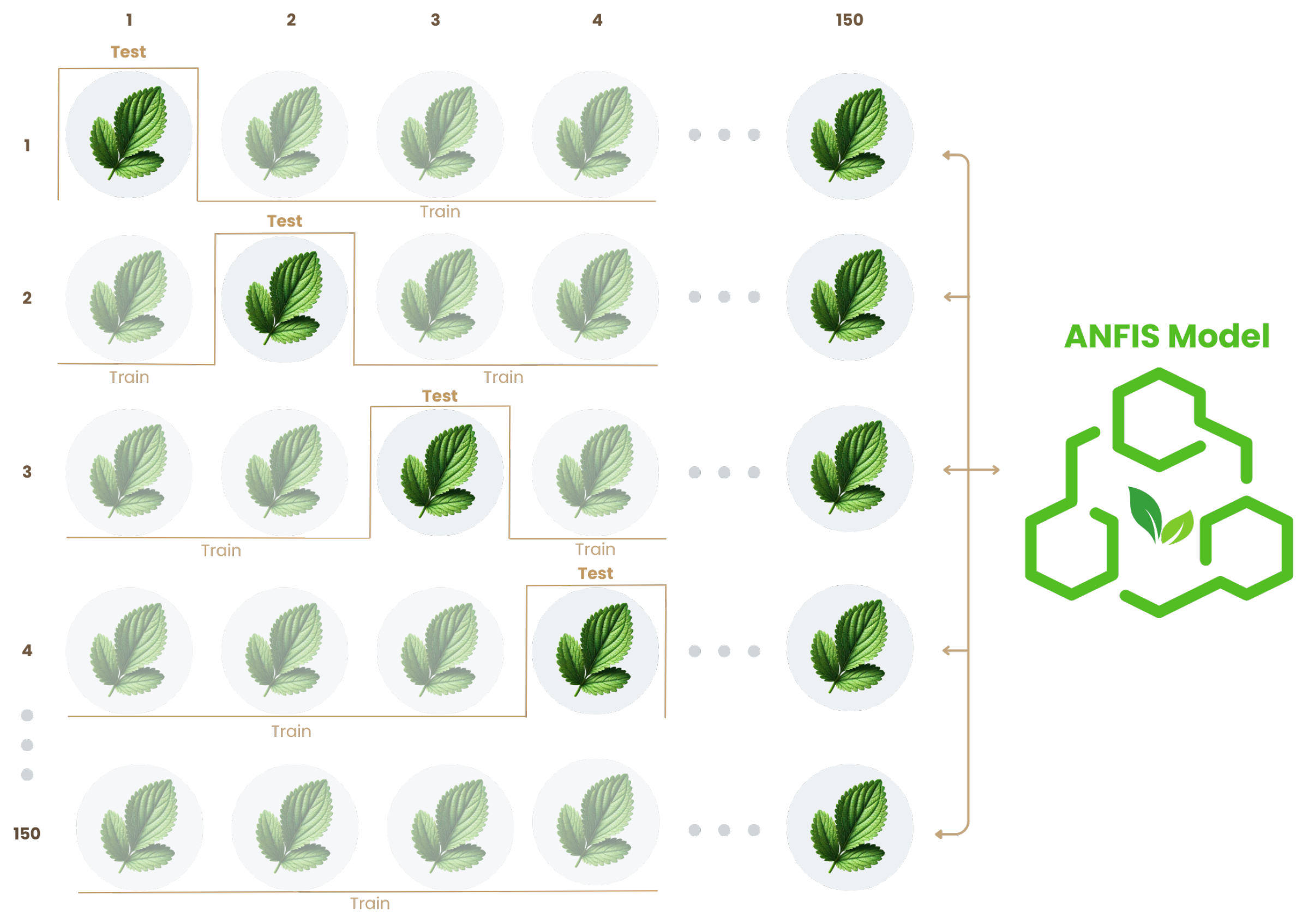 Agriculture 15 00840 g010