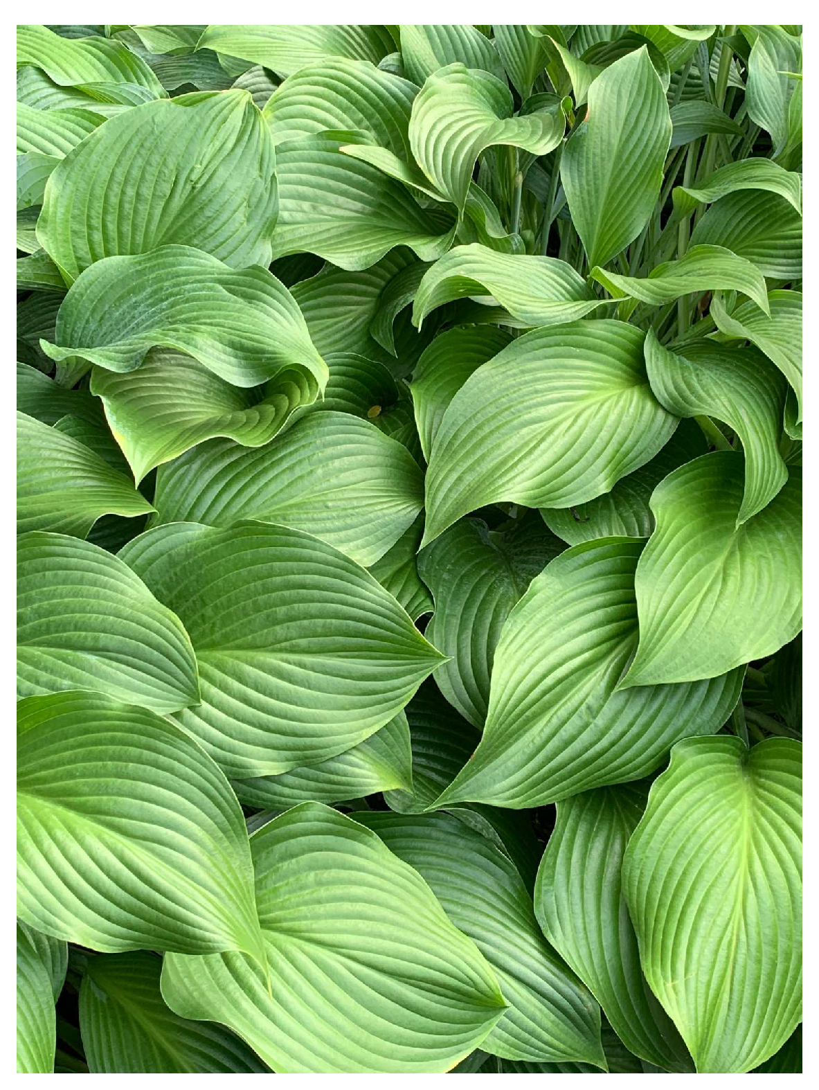 Agriculture 15 00842 g002 Agriculture 15 00842 g002