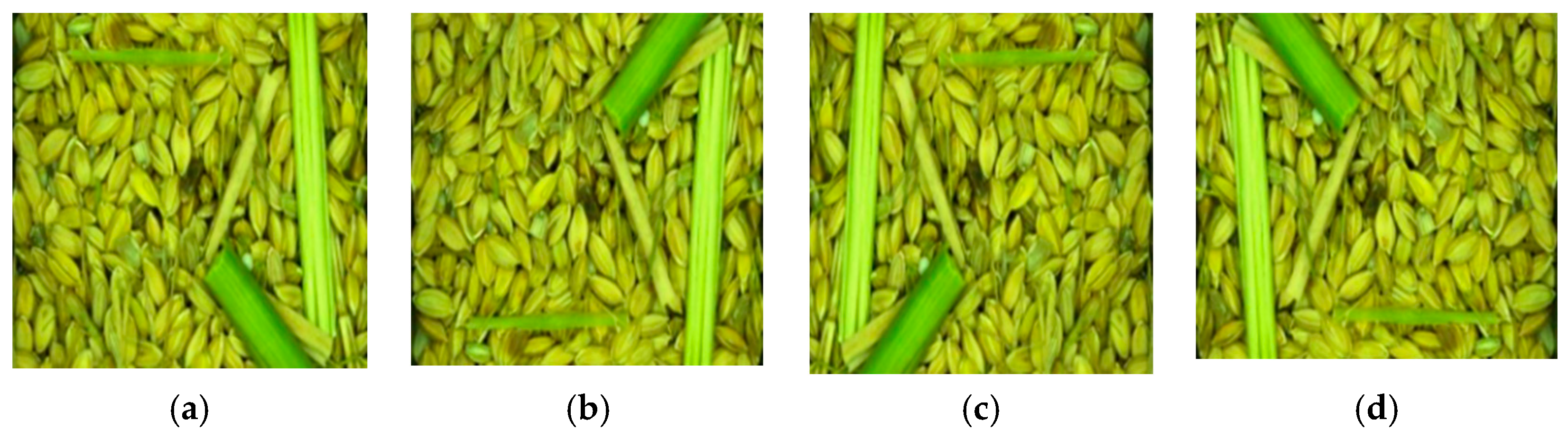 Agriculture 15 00848 g003