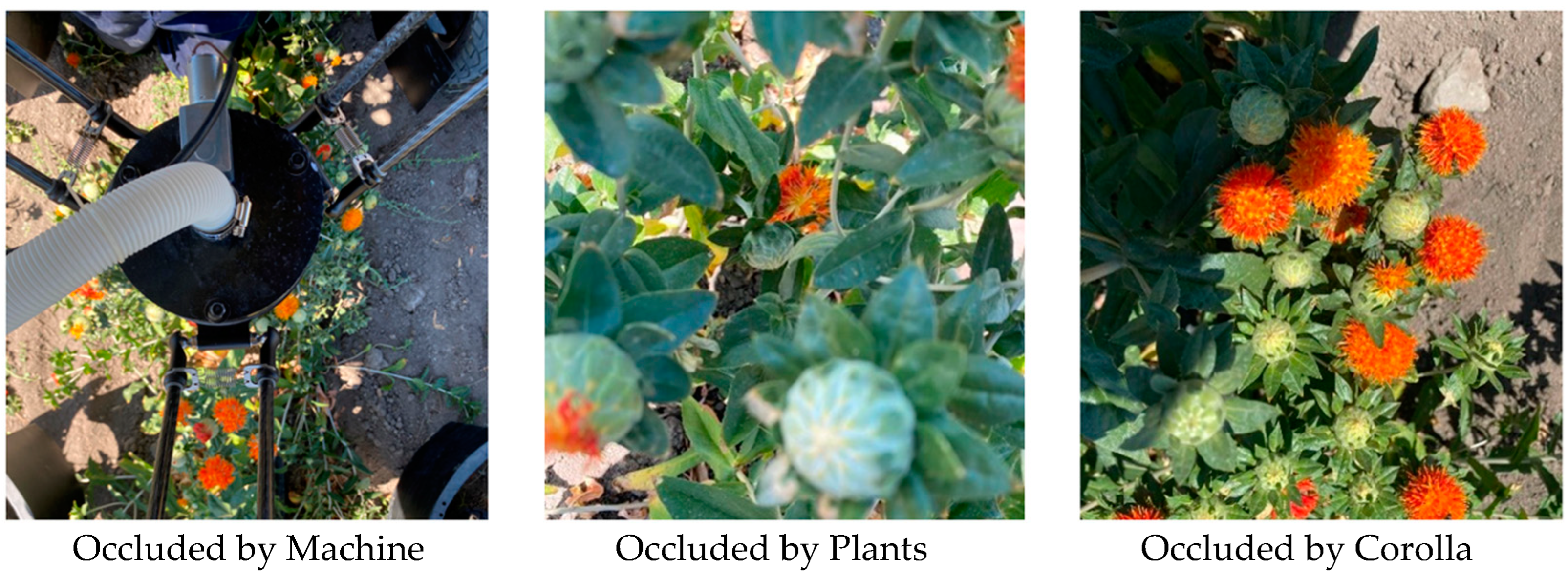 Agriculture 15 00855 g011