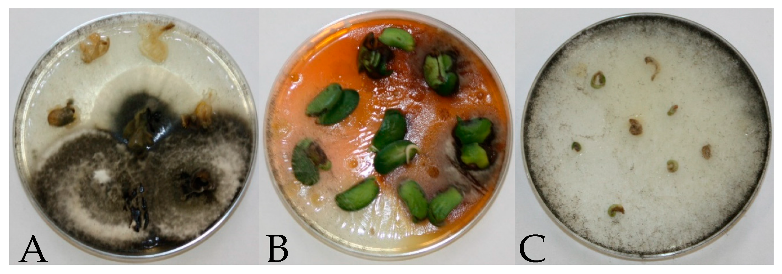 Agriculture 15 00857 g002