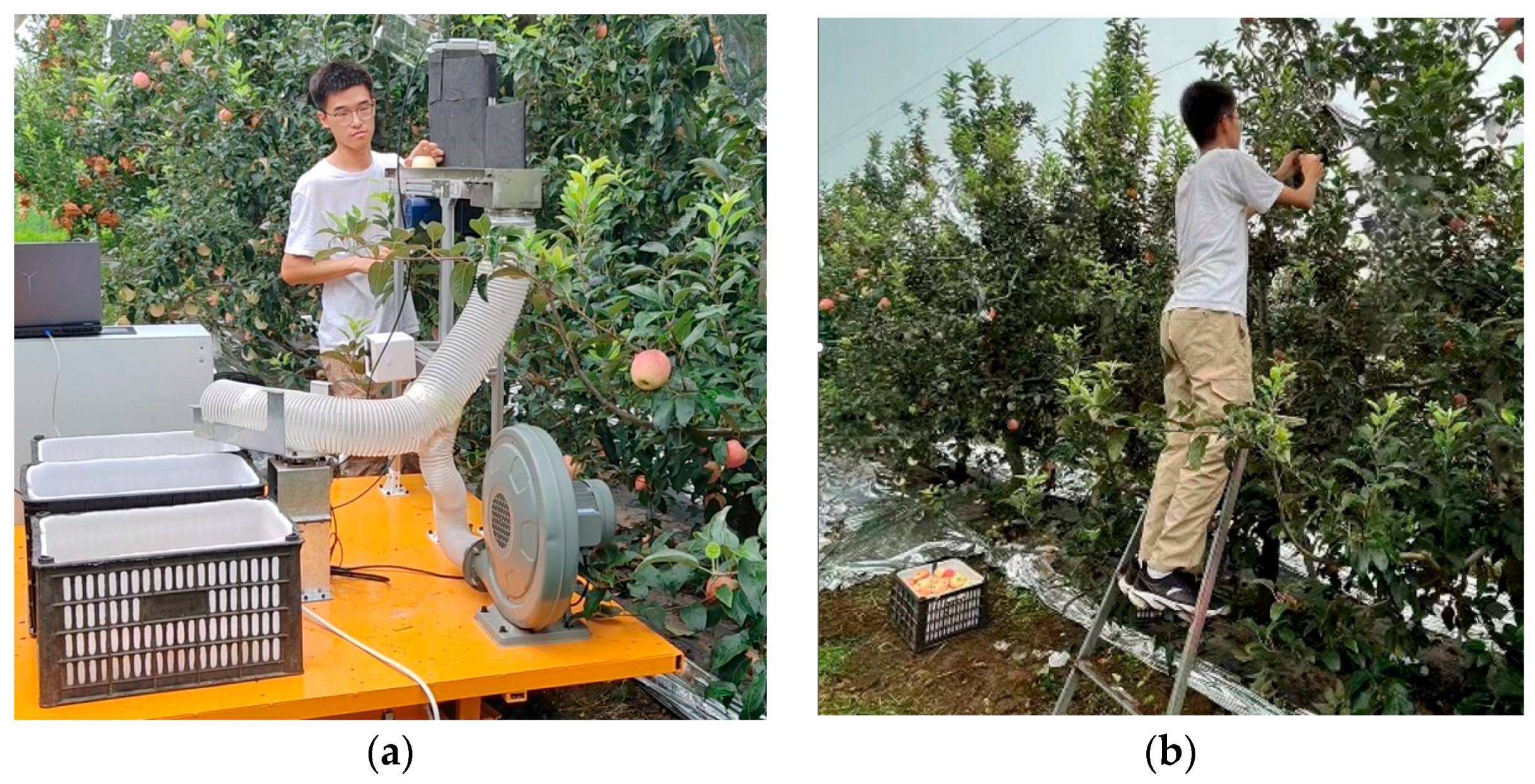 Agriculture 15 00860 g014