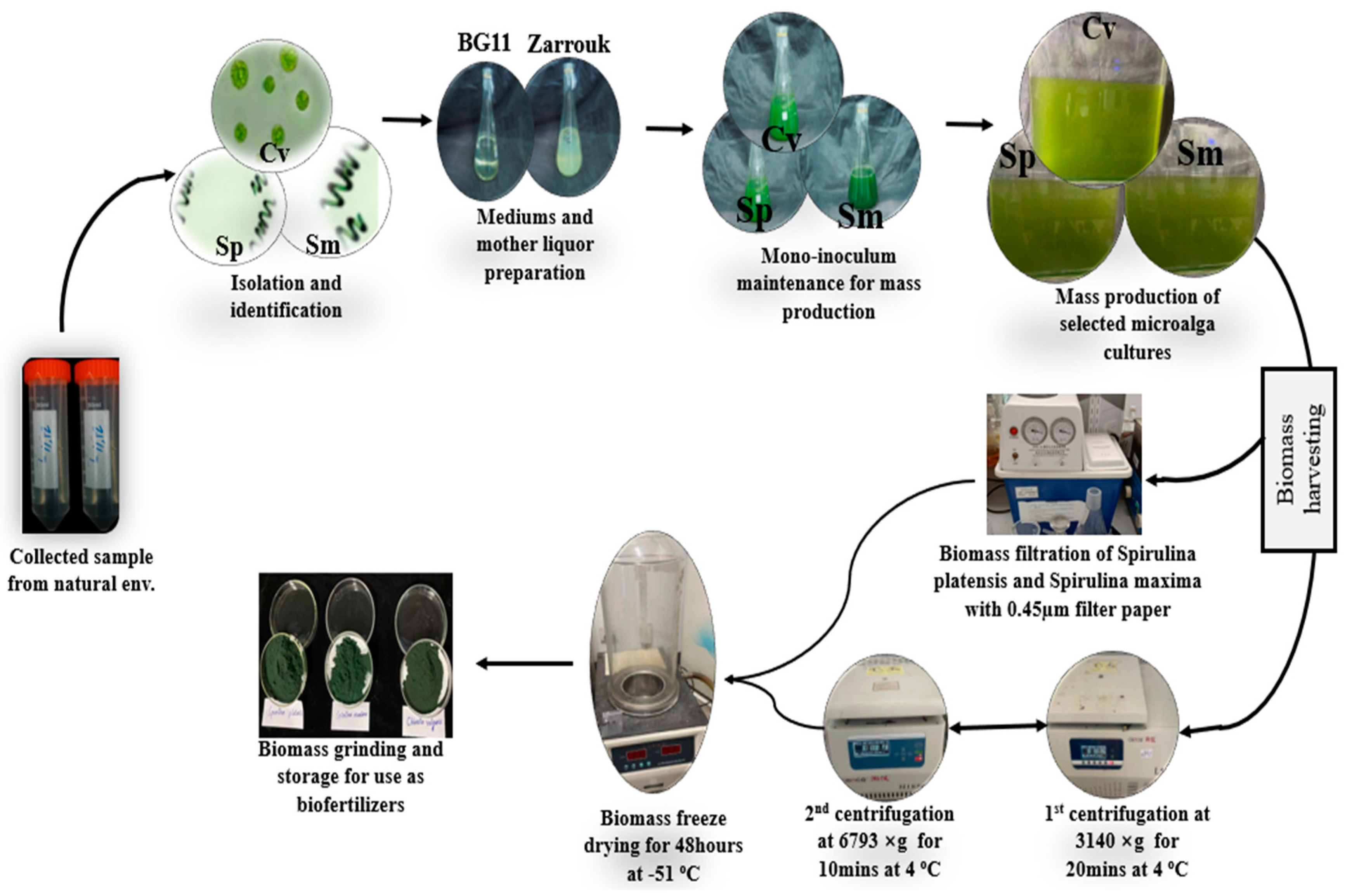Agriculture 15 00863 g001