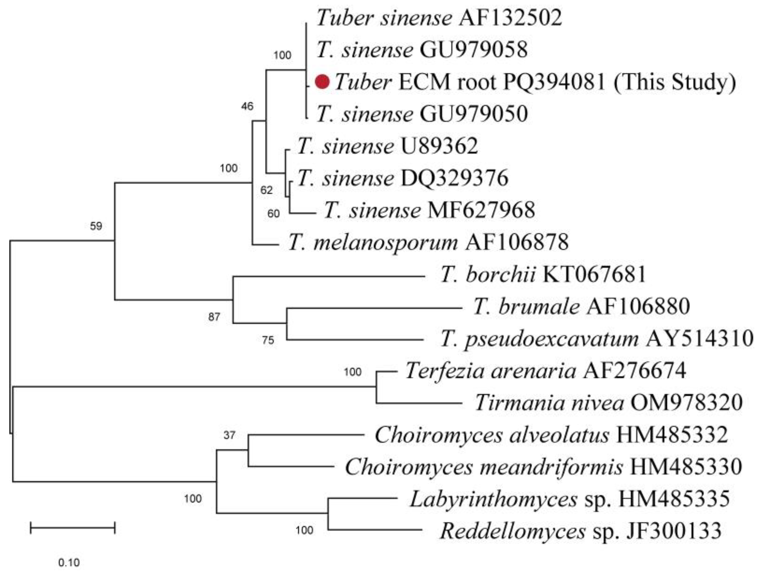 Agriculture 15 00868 g001