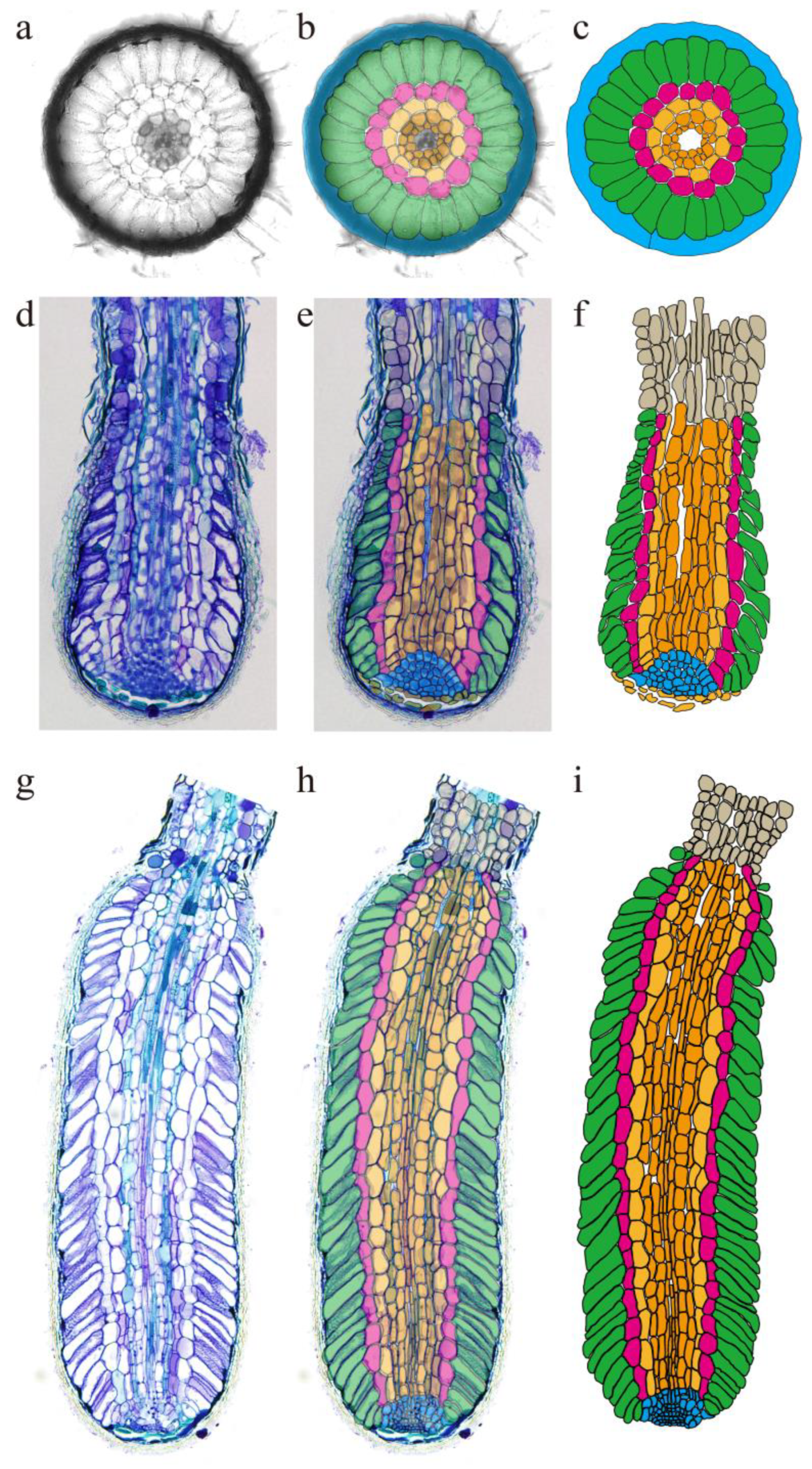 Agriculture 15 00868 g004