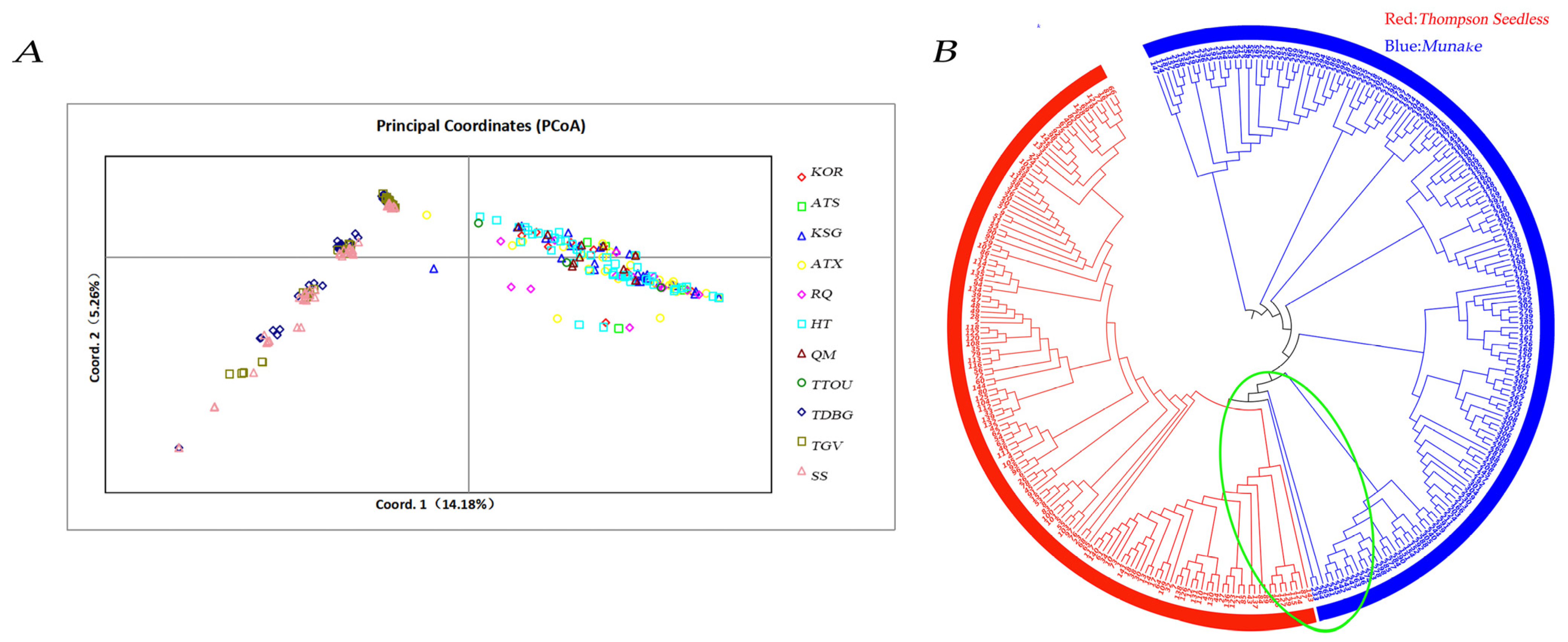 Agriculture 15 00871 g007