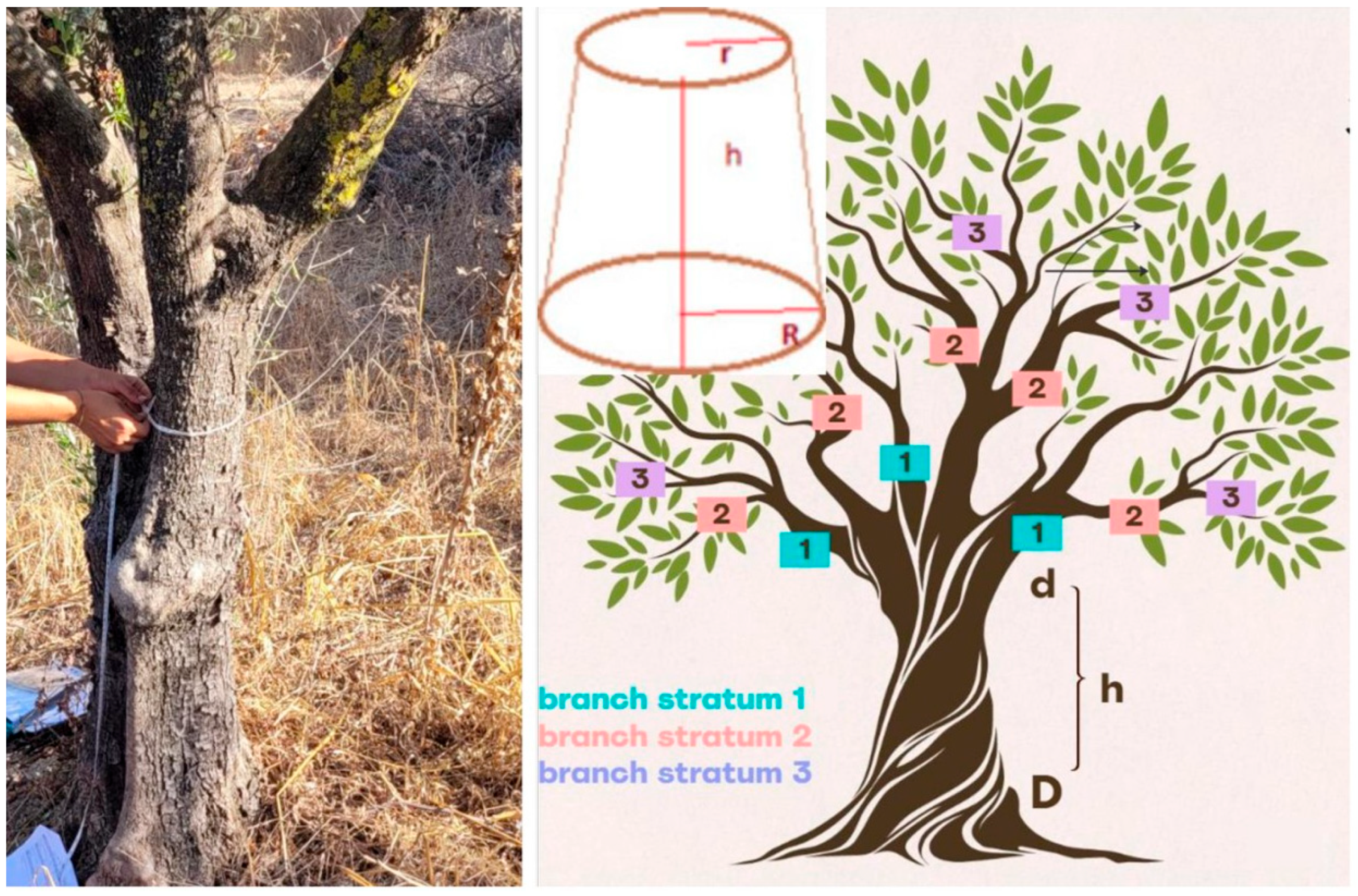 Agriculture 15 00898 g002