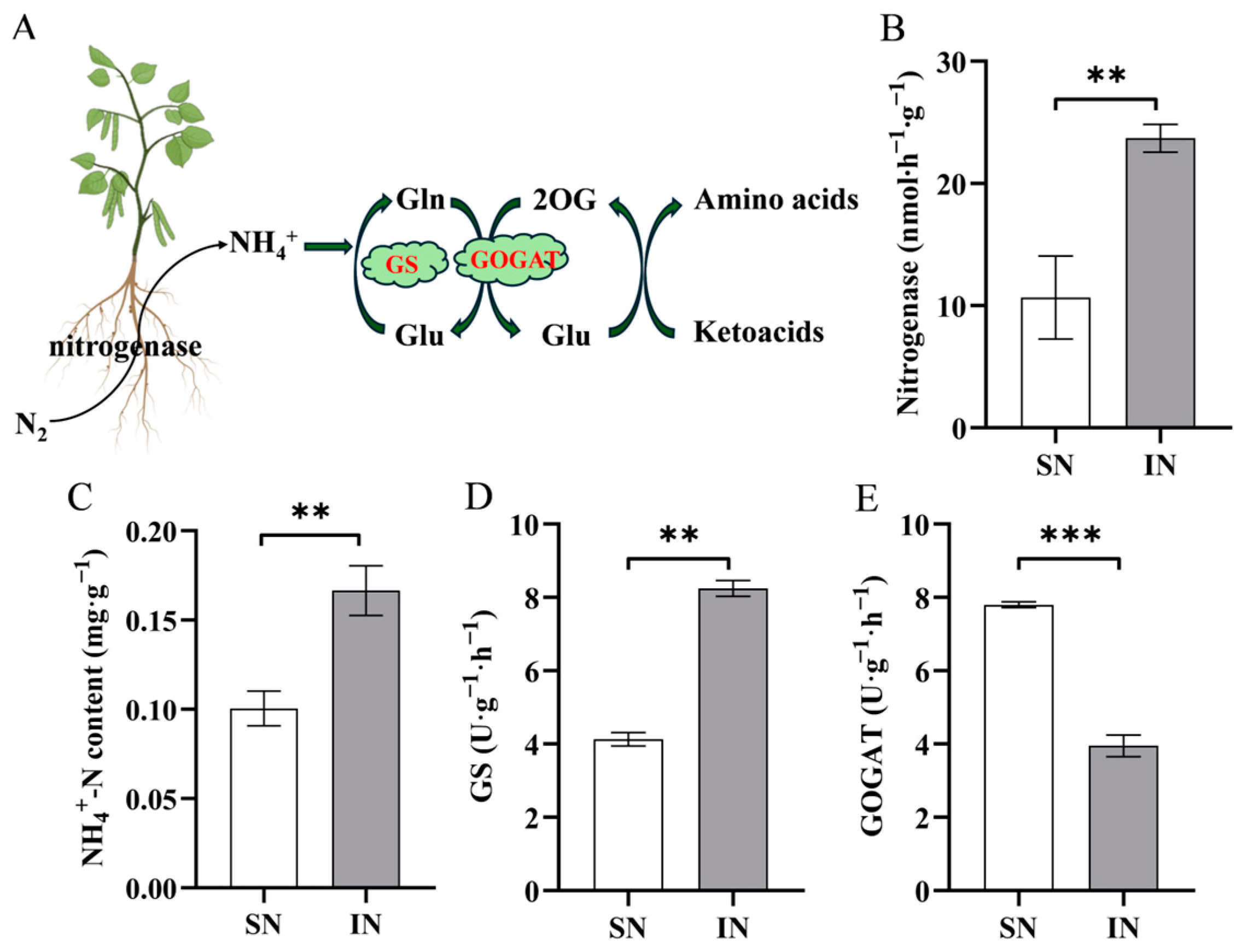 Agriculture 15 00902 g003