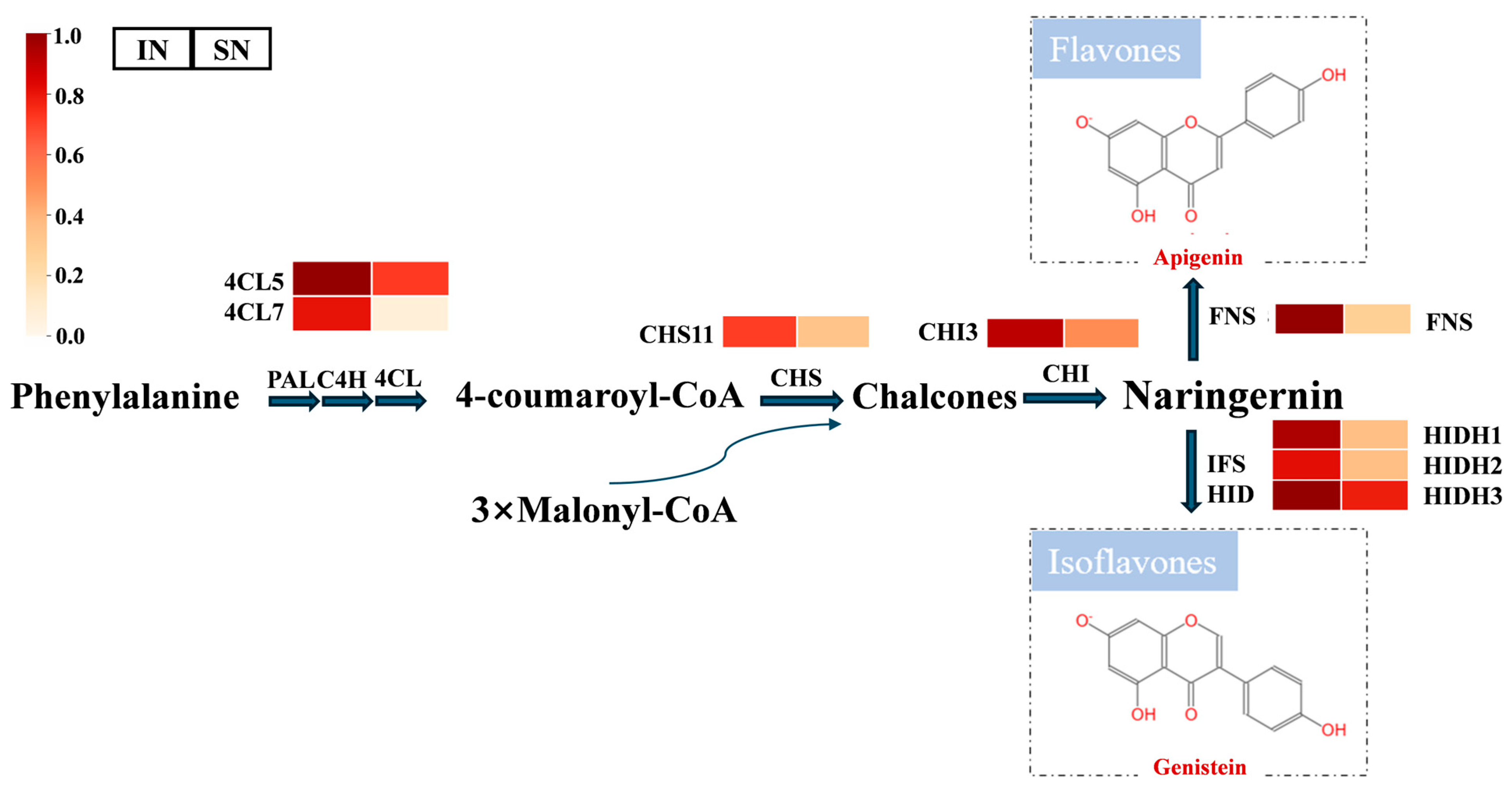 Agriculture 15 00902 g005