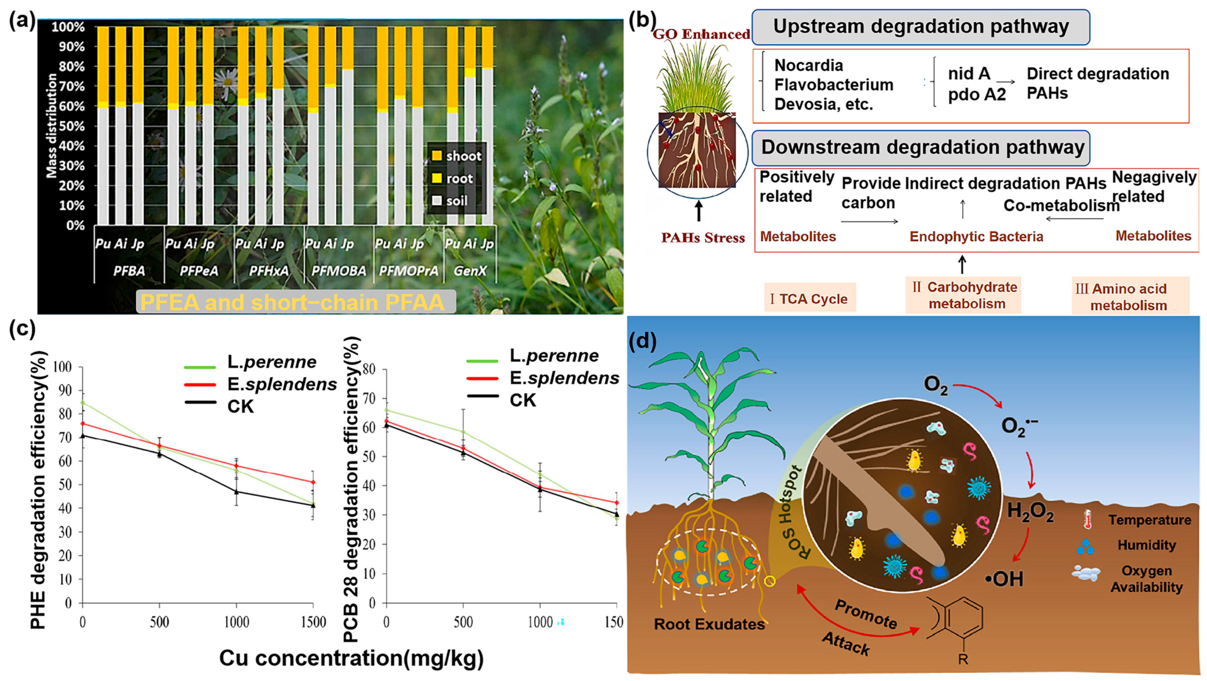 Agriculture 15 00905 g003
