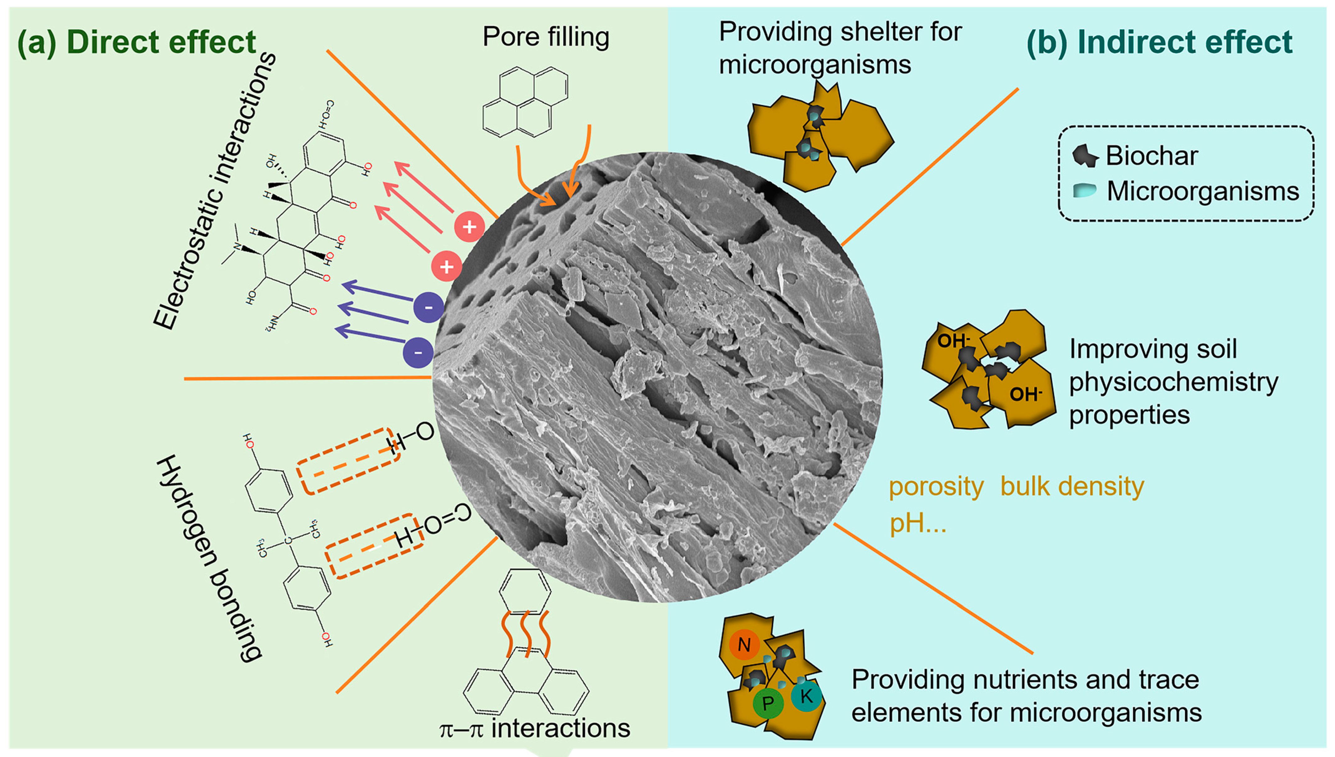 Agriculture 15 00905 g004