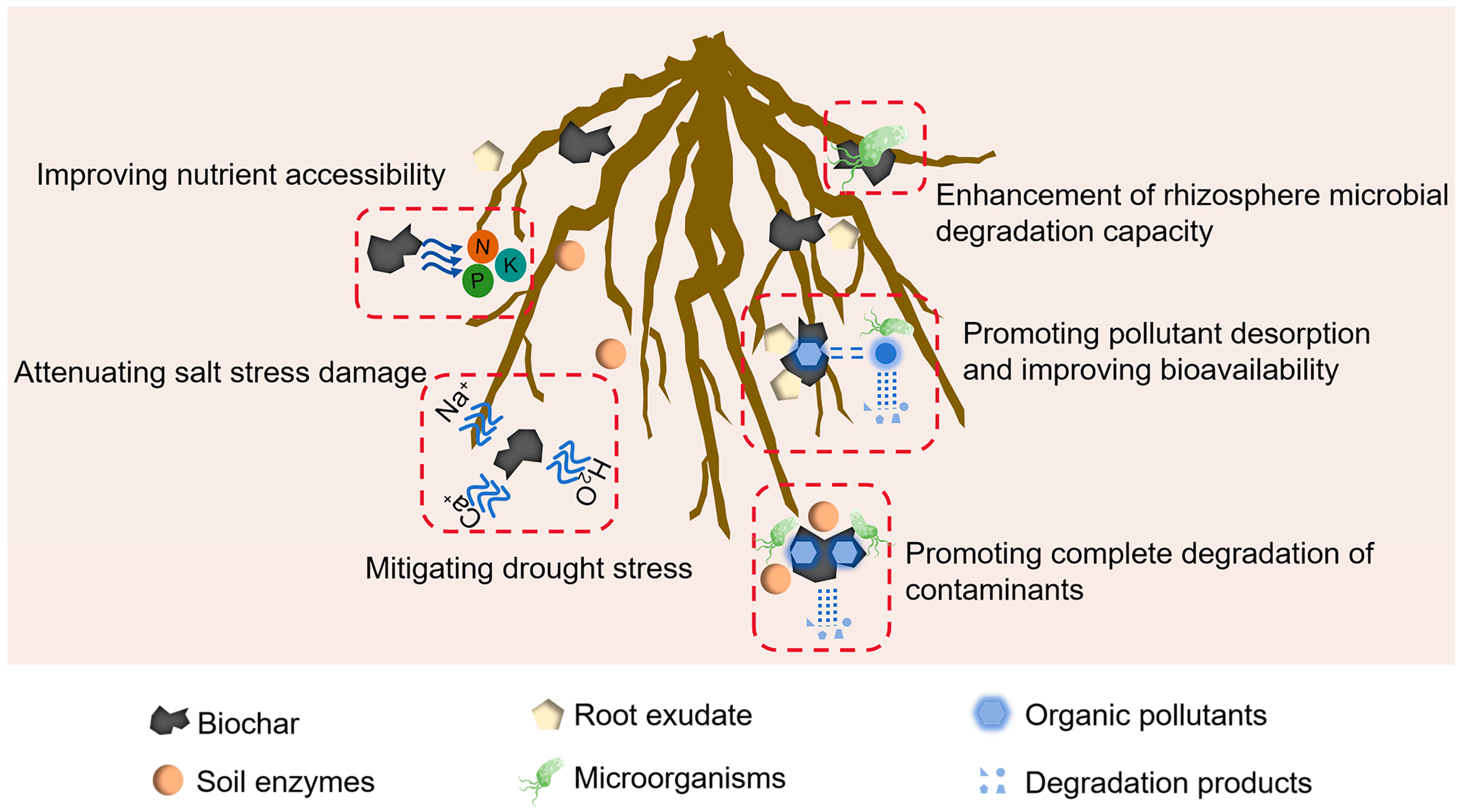 Agriculture 15 00905 g005