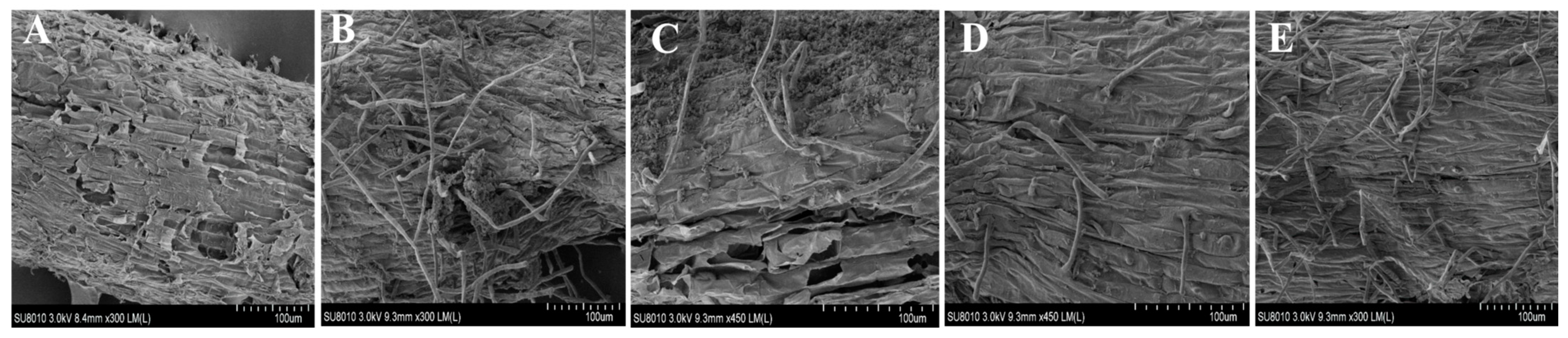 Agriculture 15 00907 g007