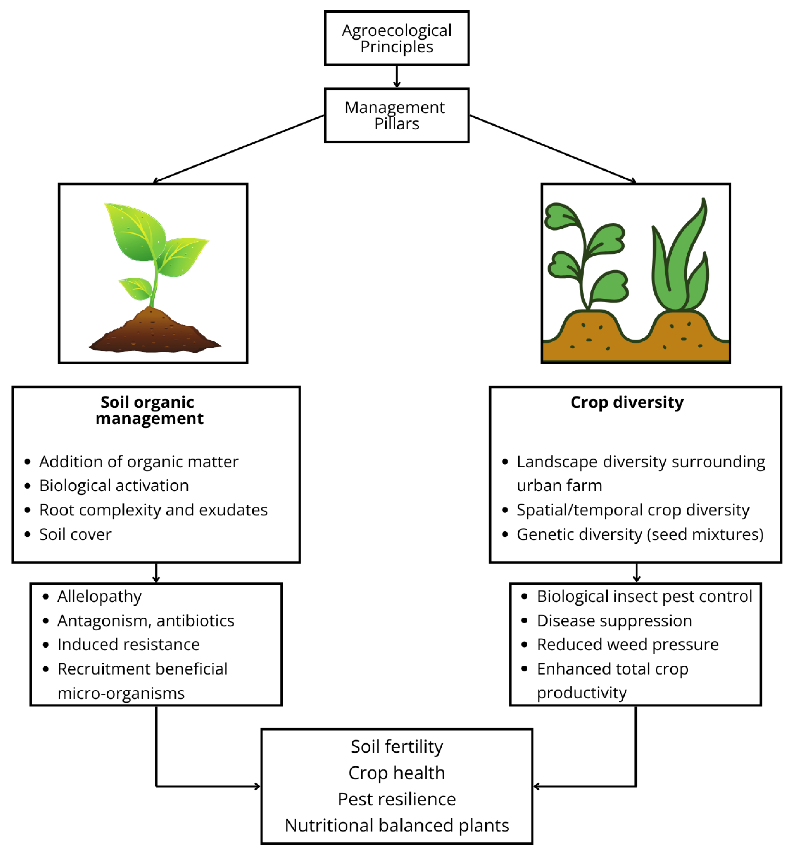 Agriculture 15 00909 g002